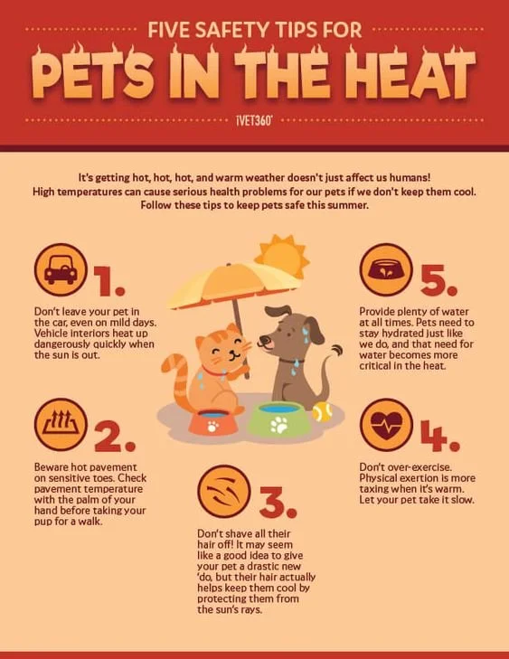 pet-safety-tips