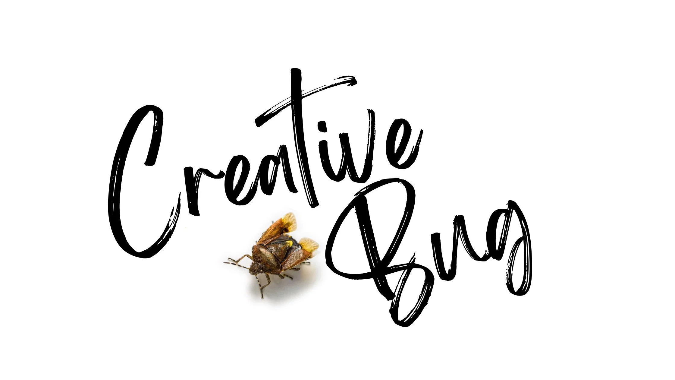 Creative Bug Banner.JPG