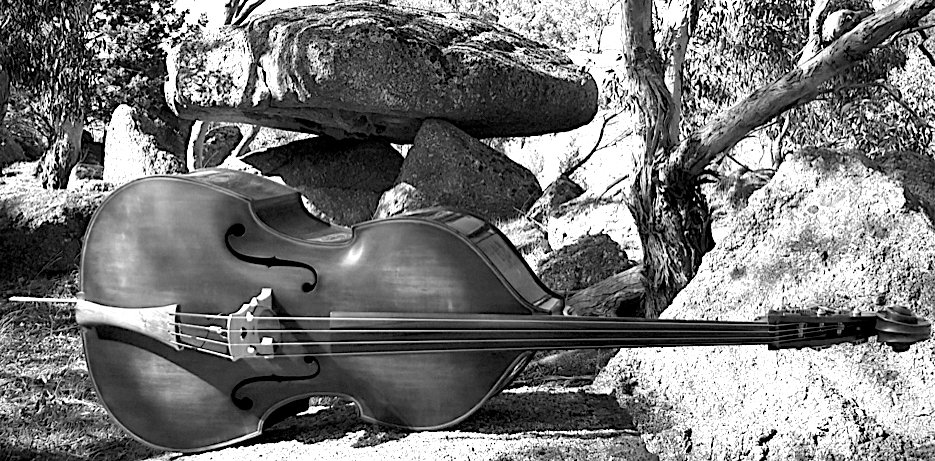 Rene Raulin Worco Website.4bw.jpeg