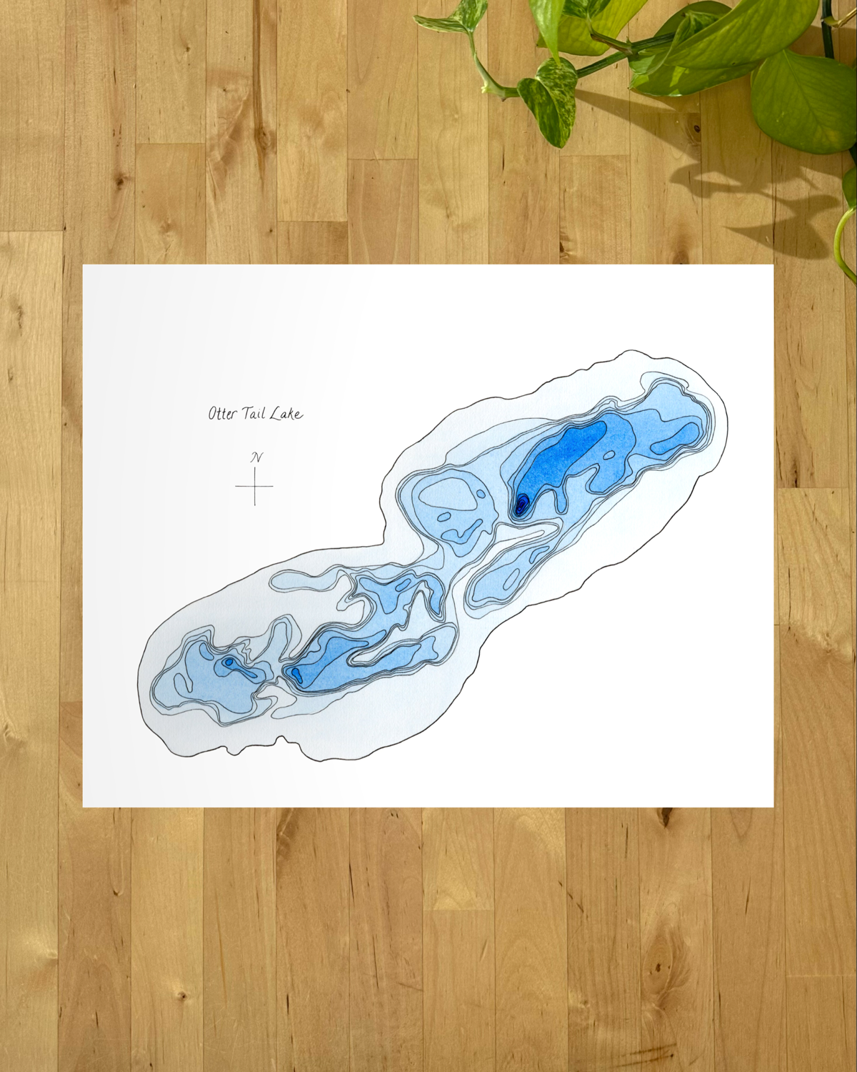 Otter Tail close.png