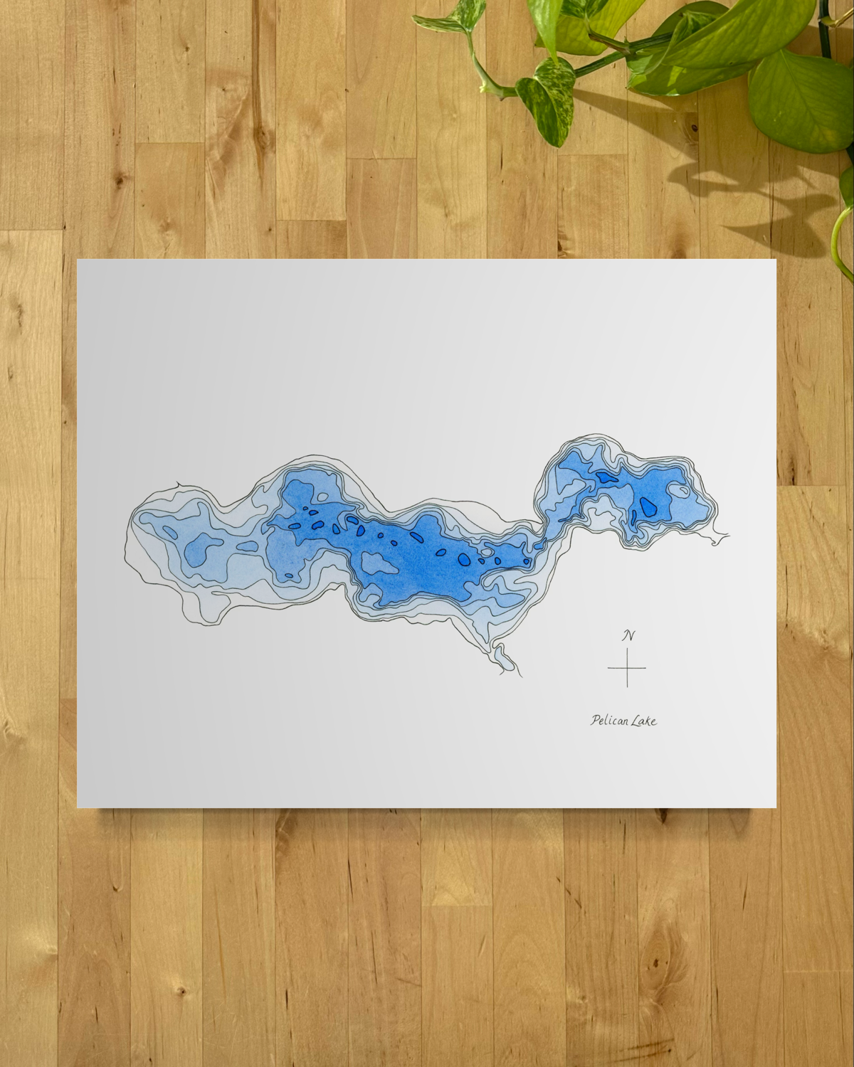 Pelican Ottertail close.png