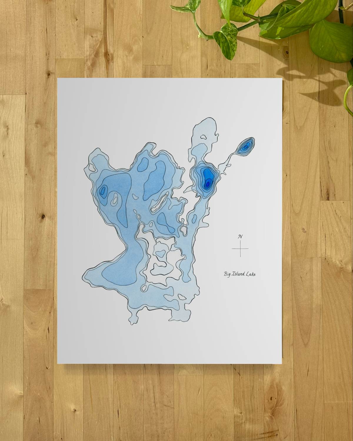 Big Island close.png