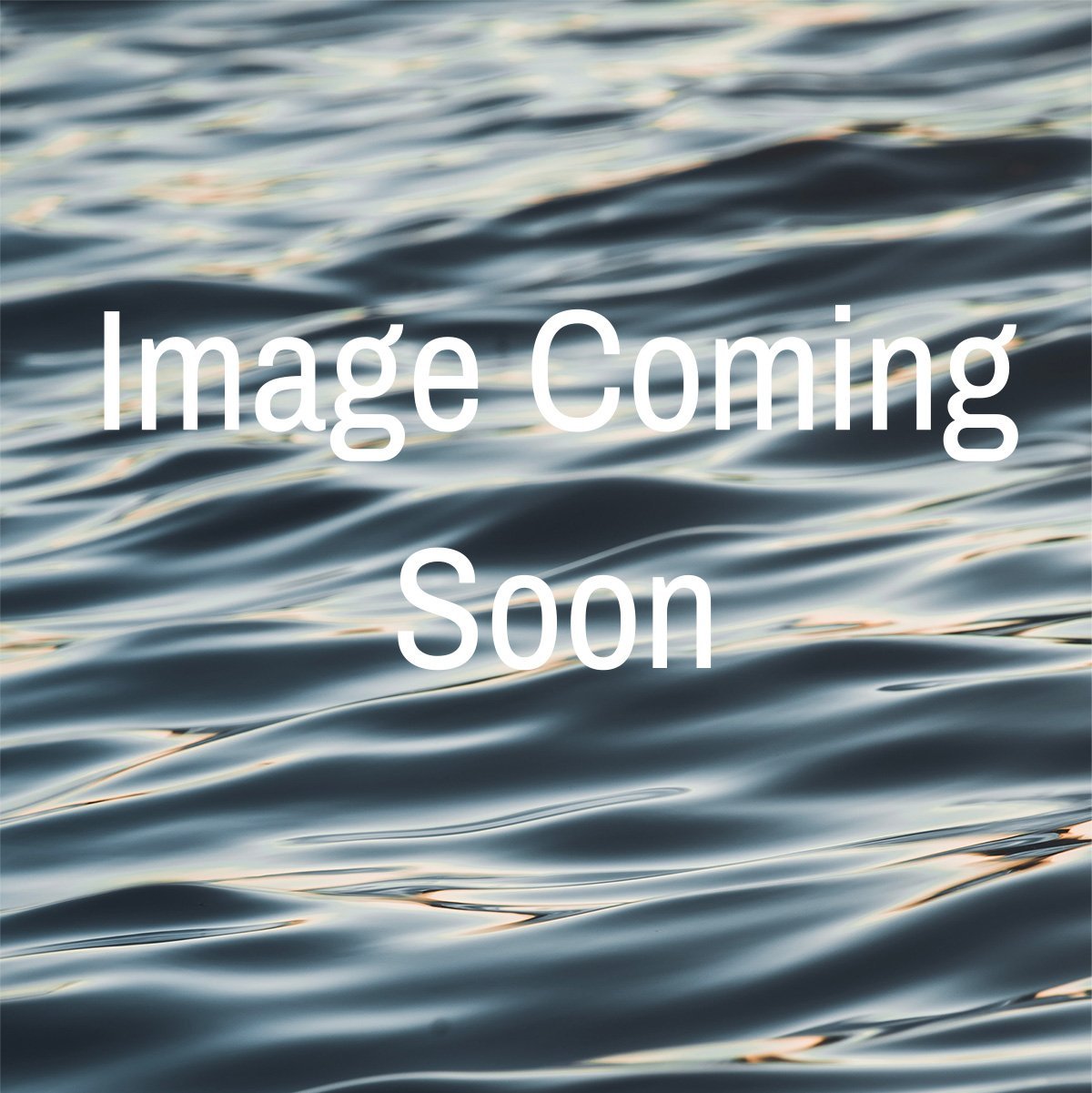 Image+Coming+Soon+Placeholder+Image.jpg