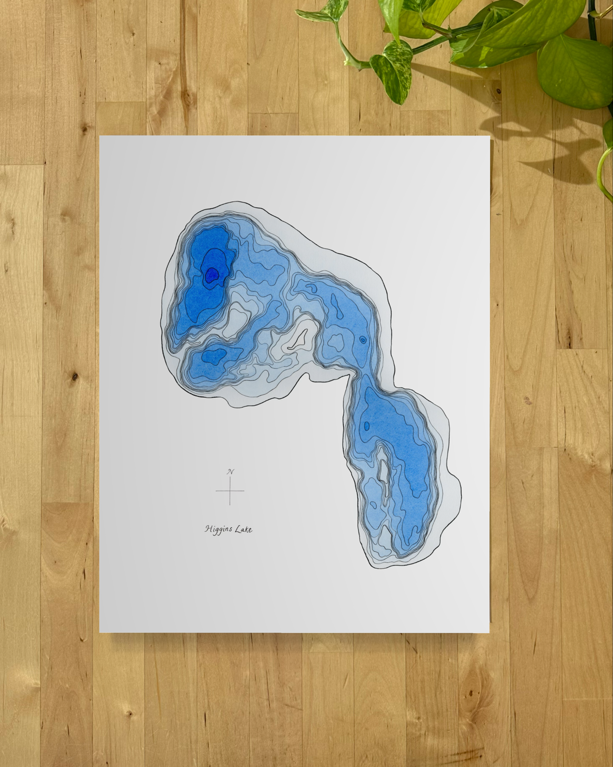 Higgins Lake close.png