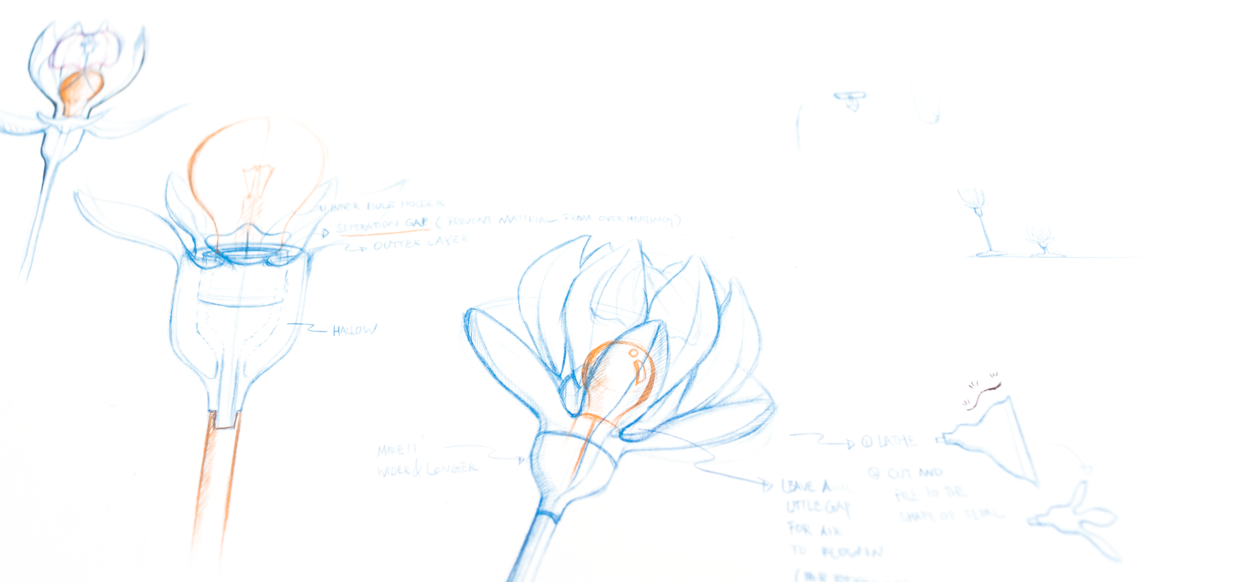 IMG_0164.png
