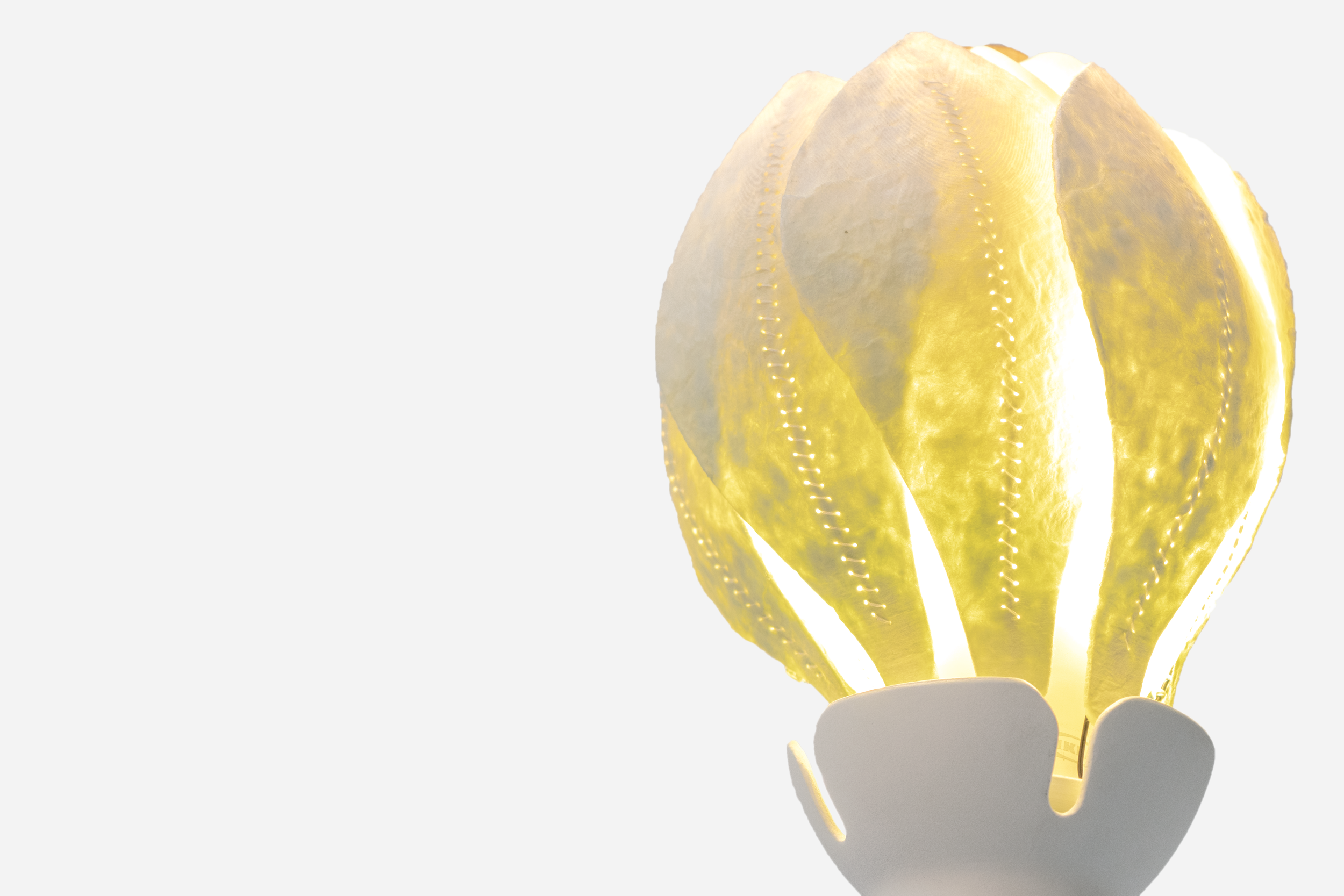 IMG_0434_5.0.png