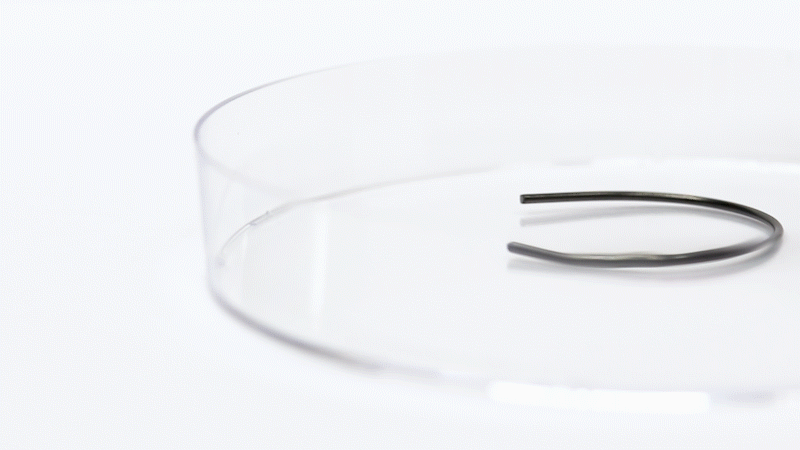 Lotus 3_nitinol gif.gif