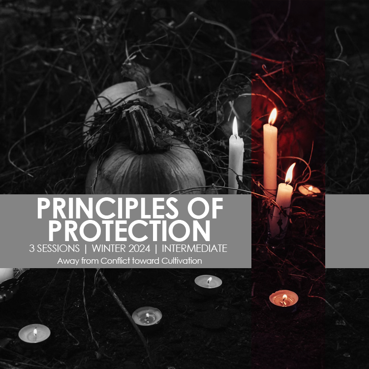 principles of protection.png