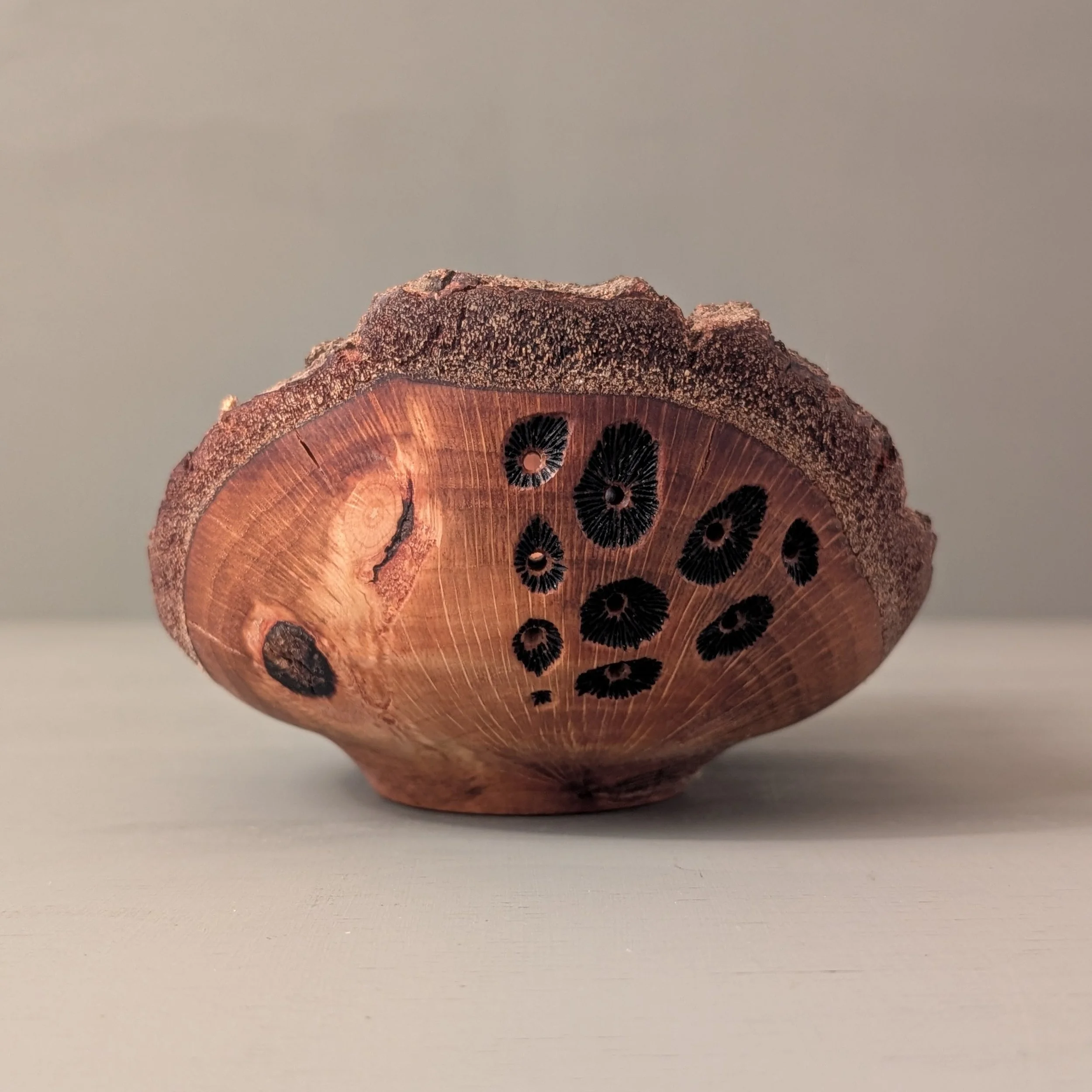 Live Edge Coral Oak 6.jpeg