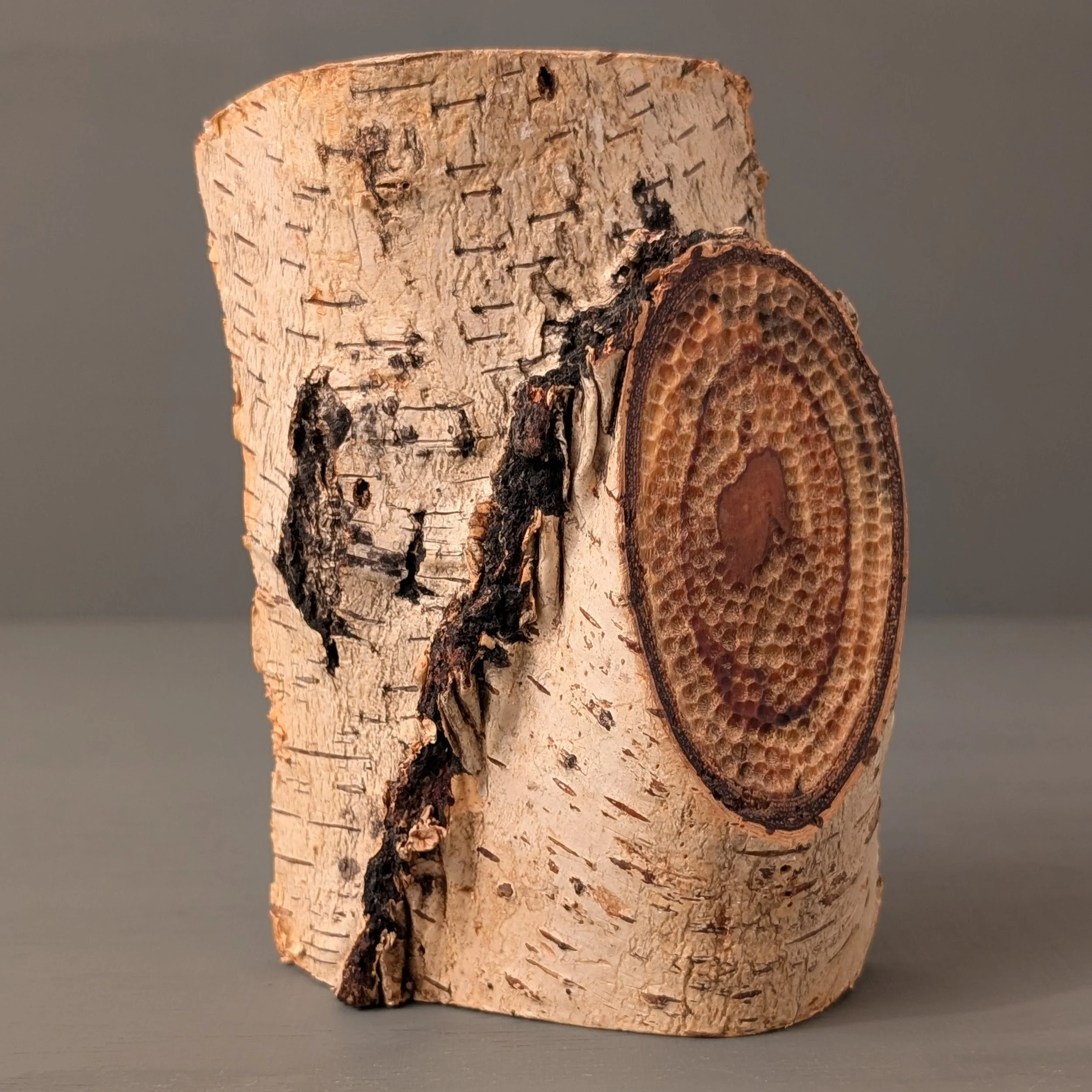 Spalted Organic Flow 3.jpg