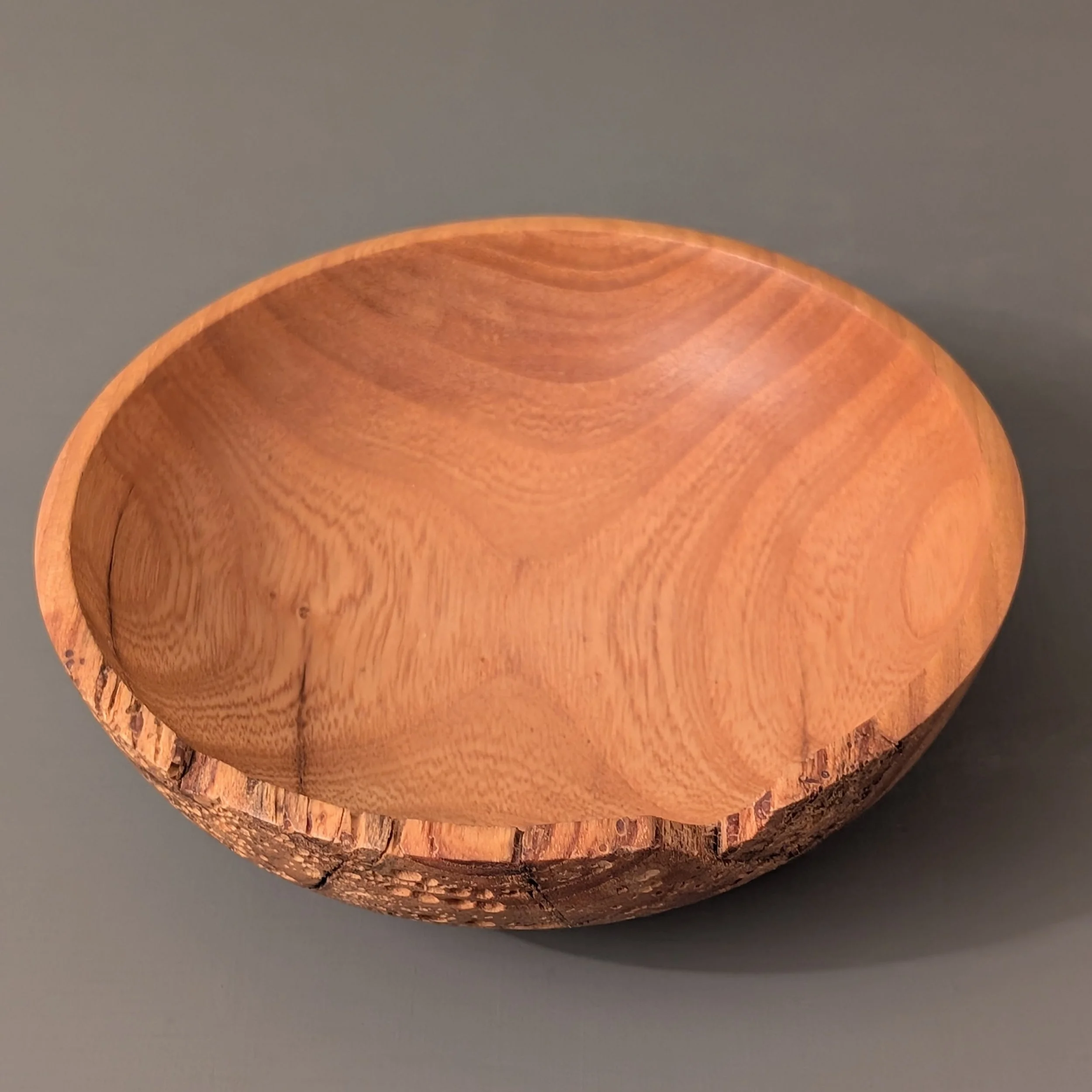 Critter Bowl 2.3.jpg
