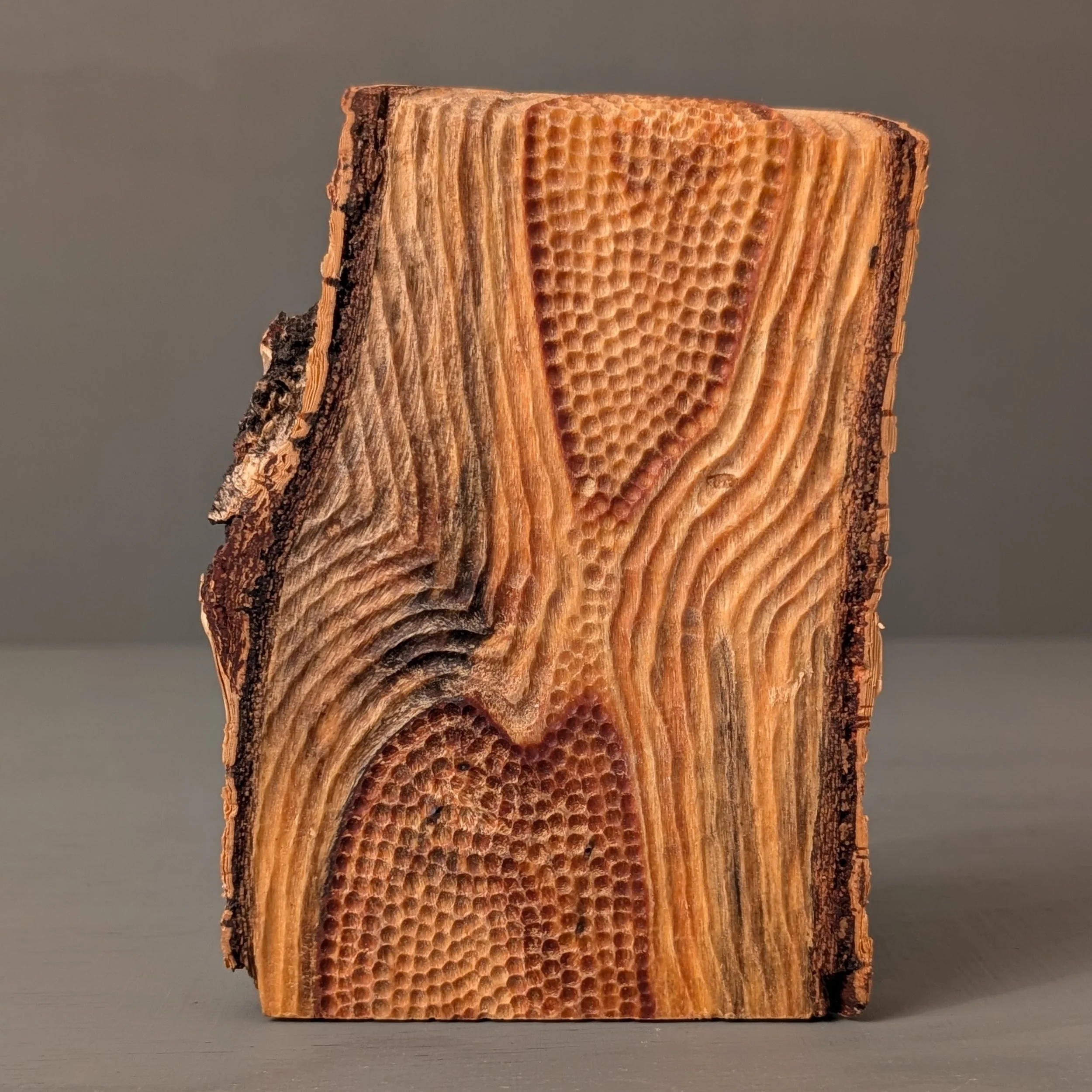 Spalted Organic Flow 4.jpg