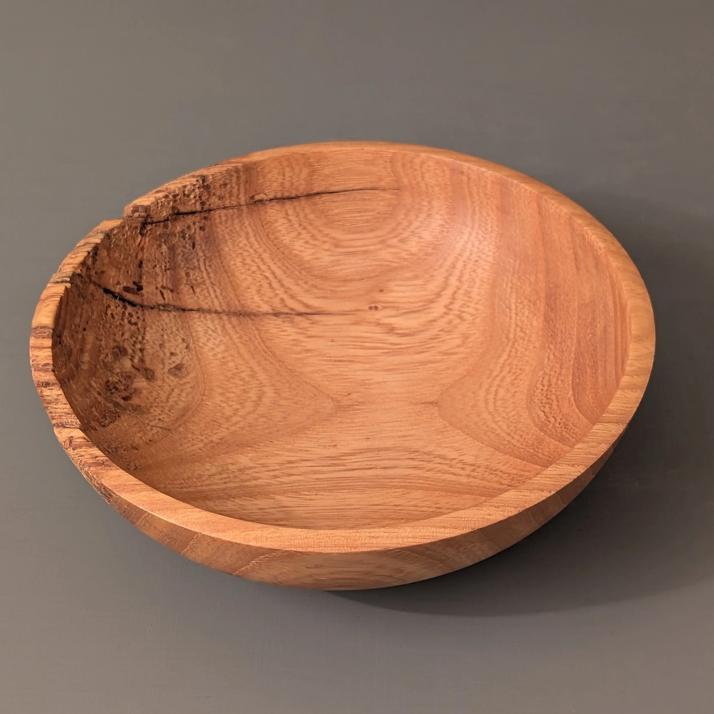 Critter Bowl 2.2.jpg