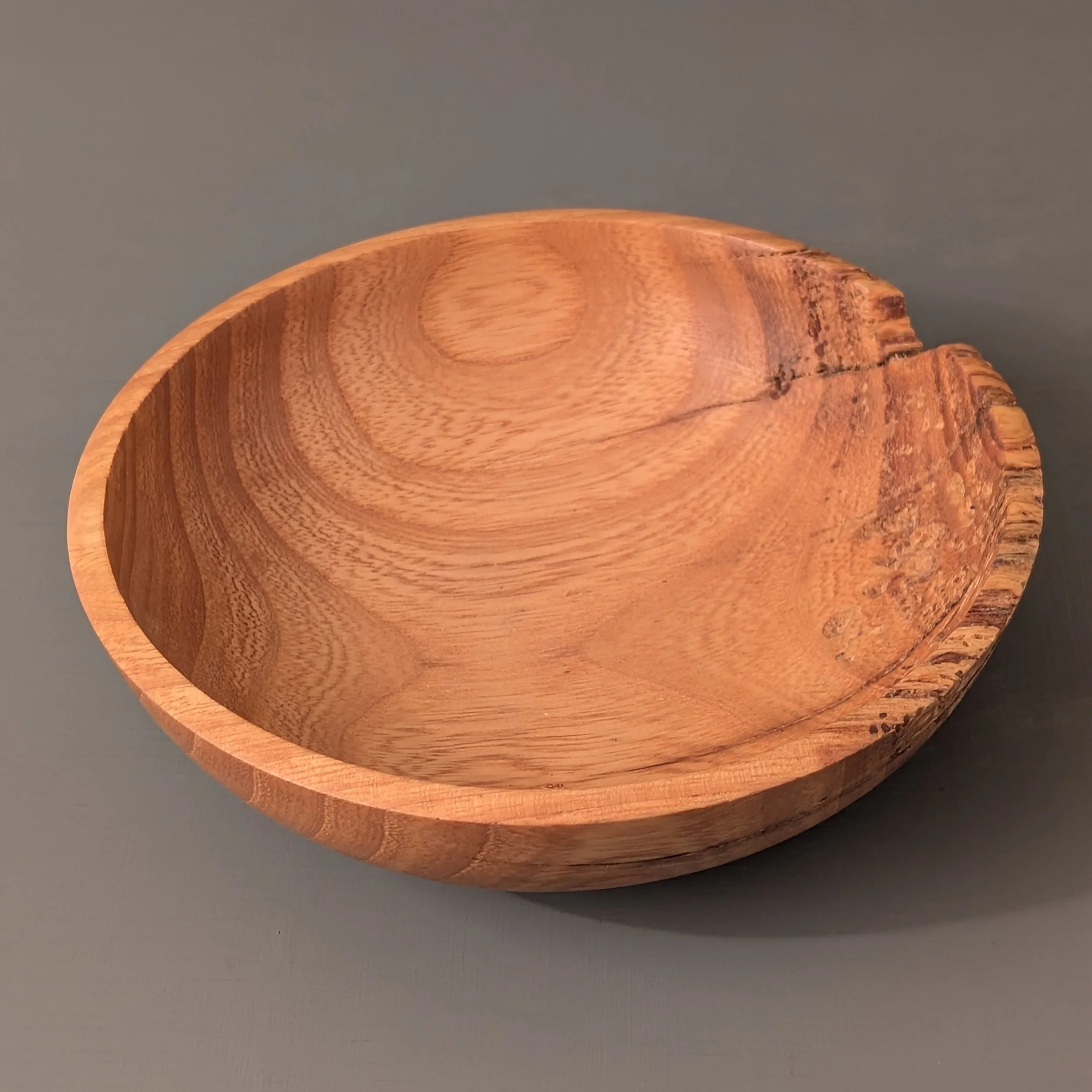 Critter Bowl 2.4.jpg