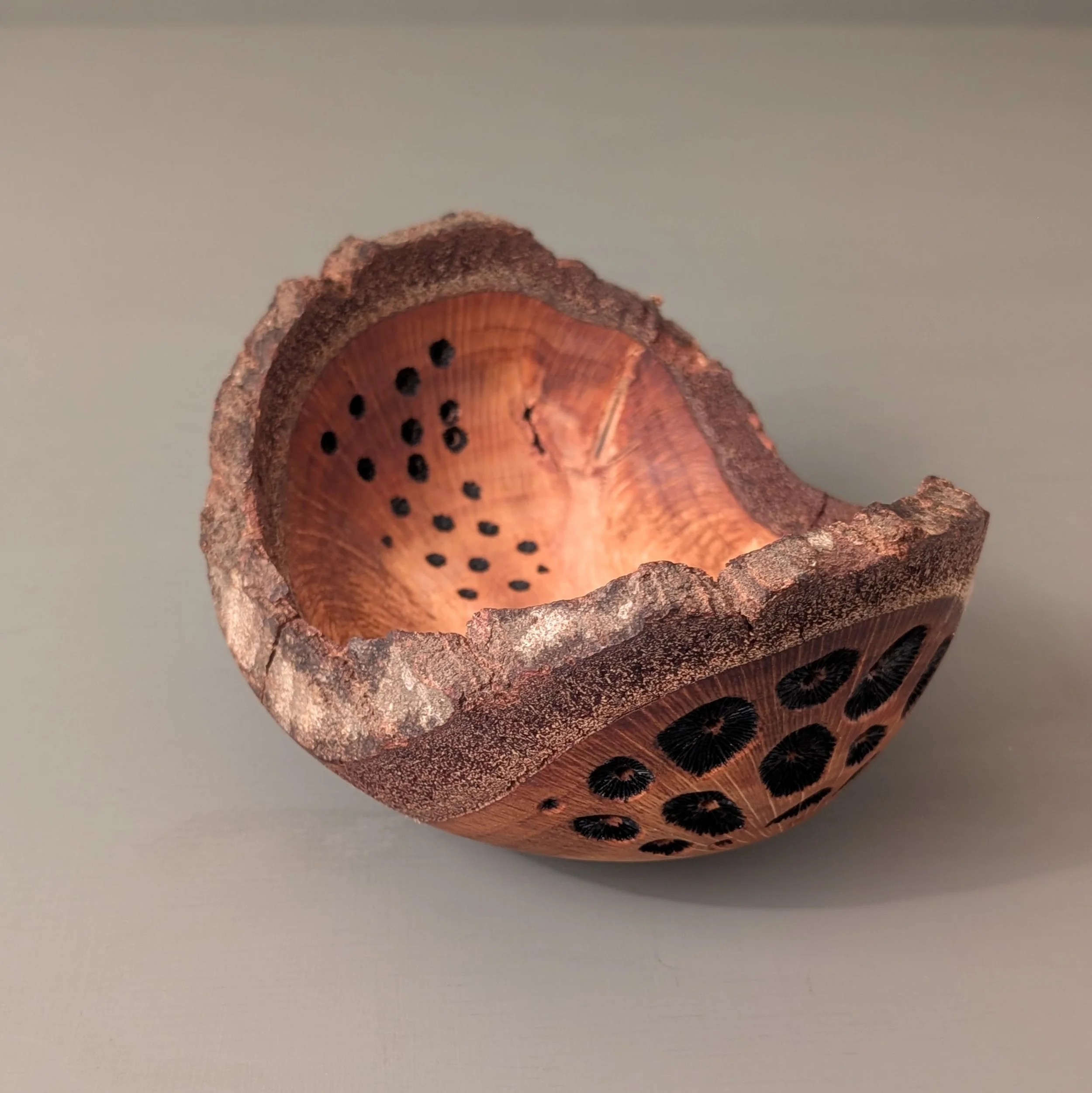 Live Edge Coral Oak 7.jpg