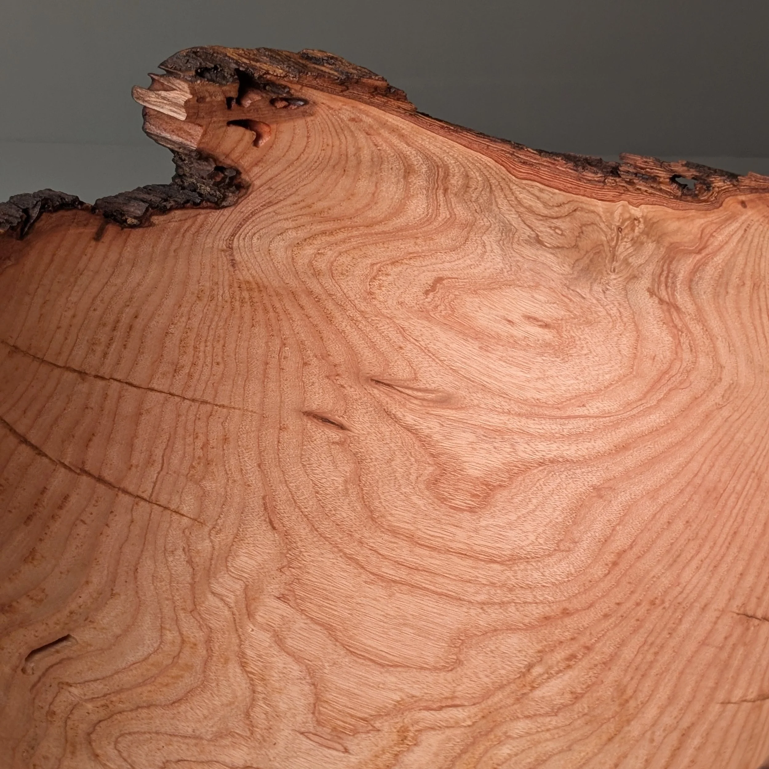Big Ash Scorched Stapled 5.jpg