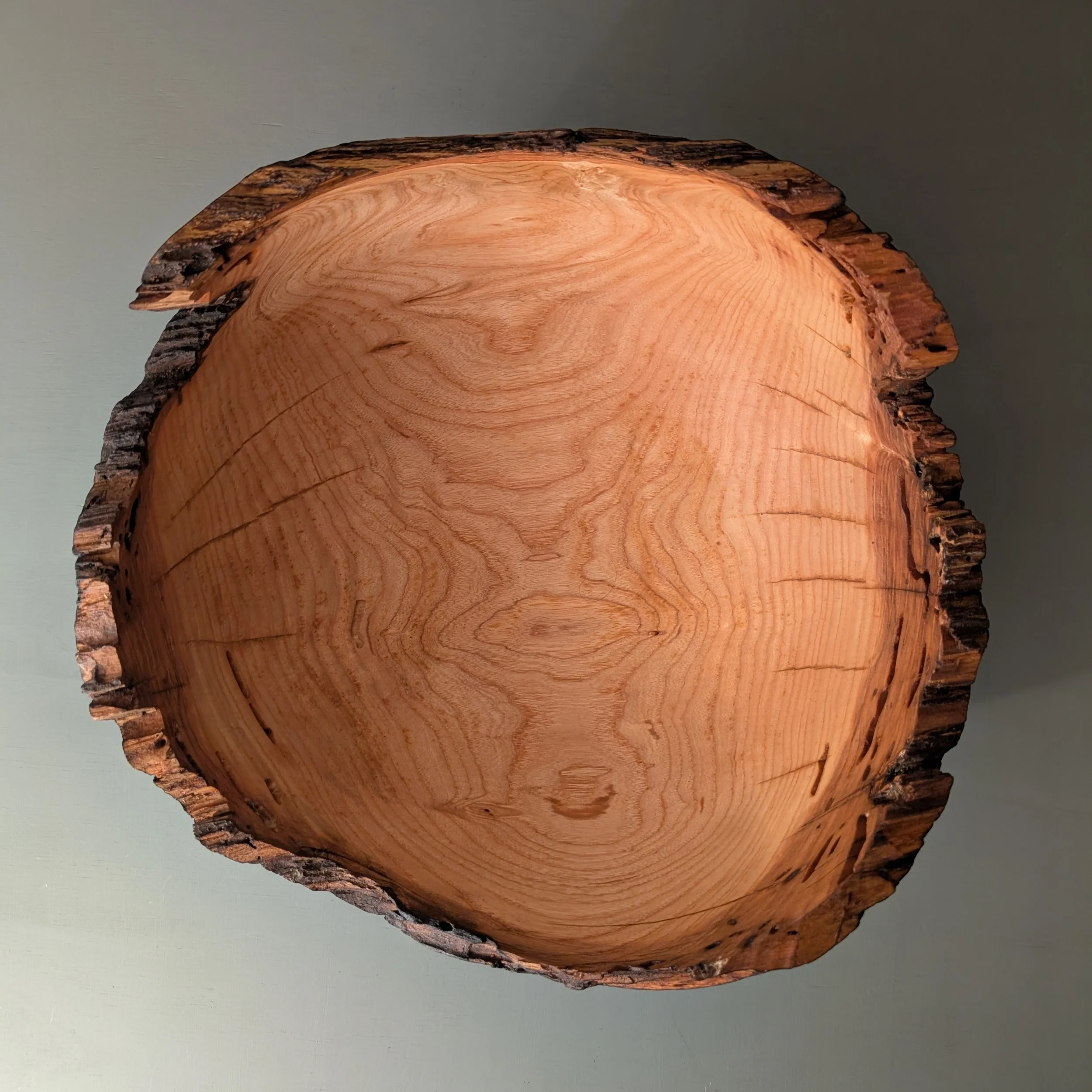 Big Ash Scorched Stapled 2.jpg