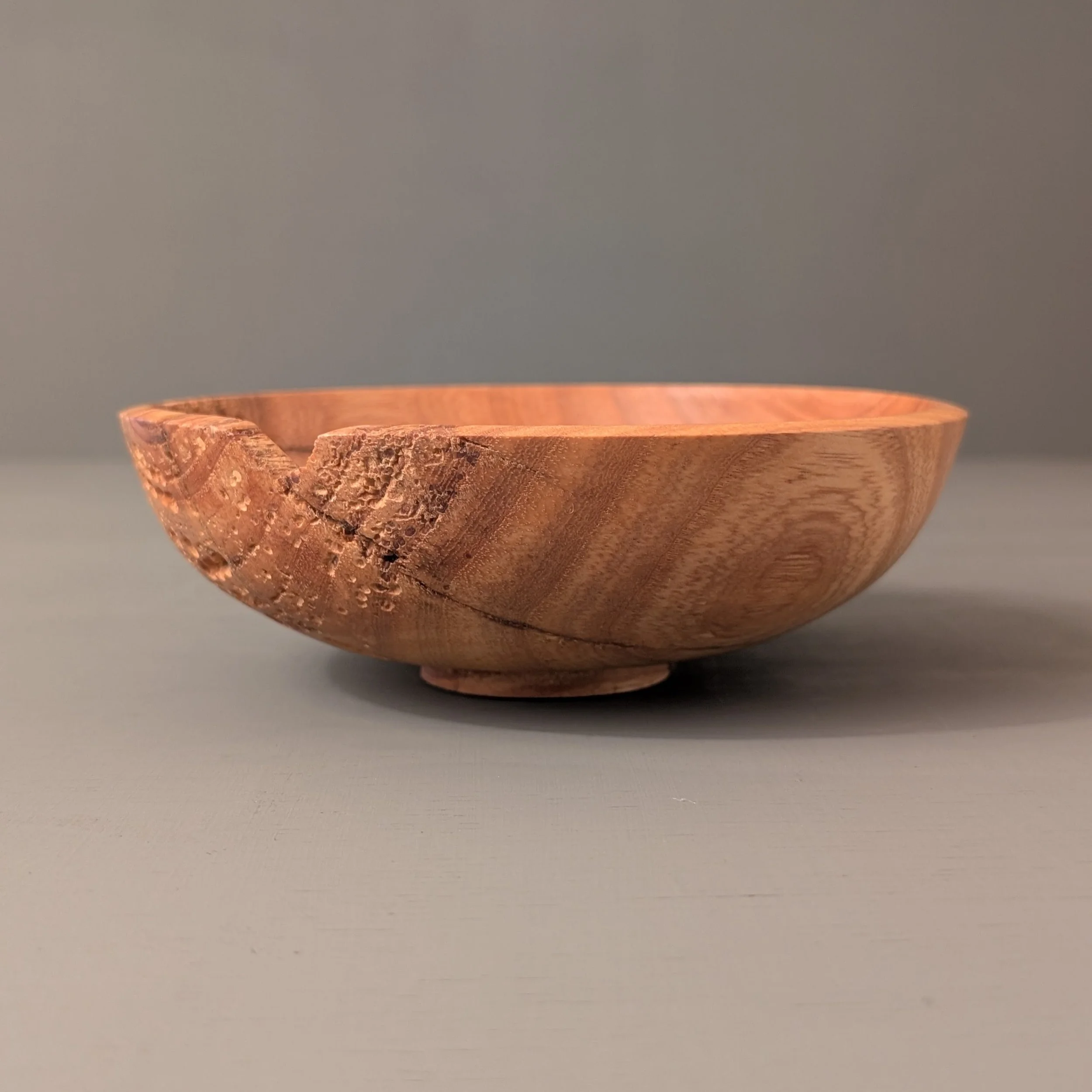 Critter Bowl 2.6.jpg