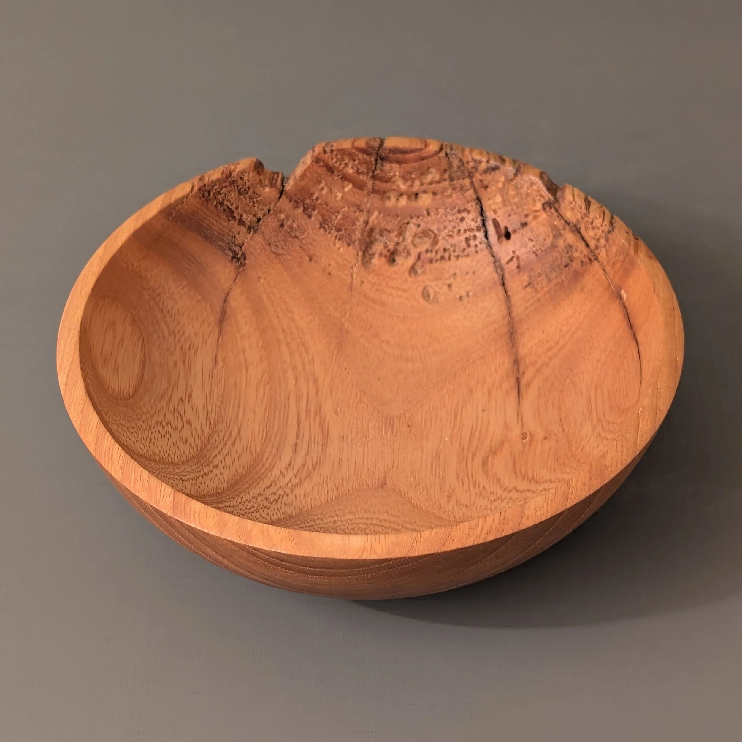 Critter Bowl 2.1.jpg