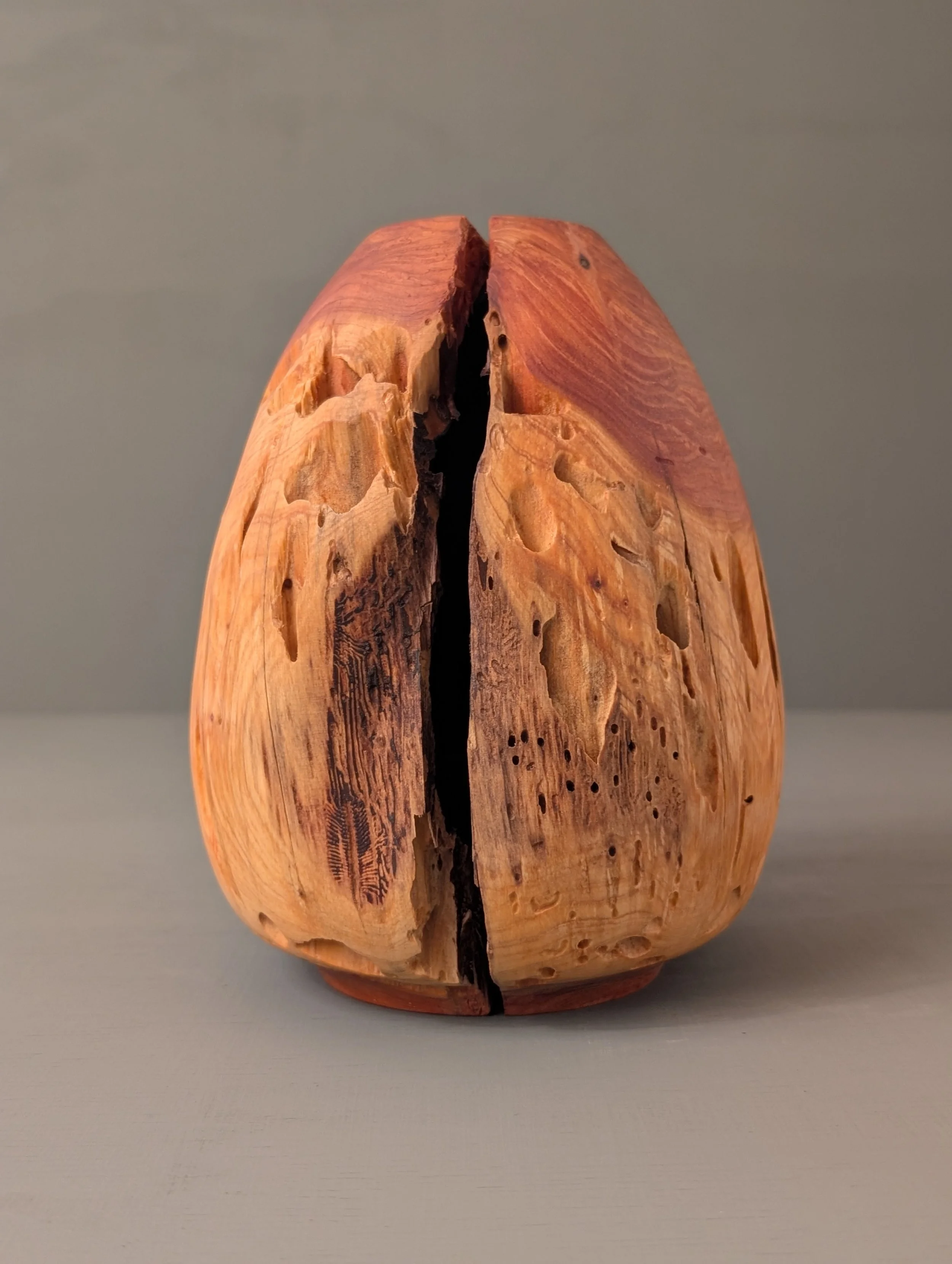Juniper Vessel 1.5.jpg