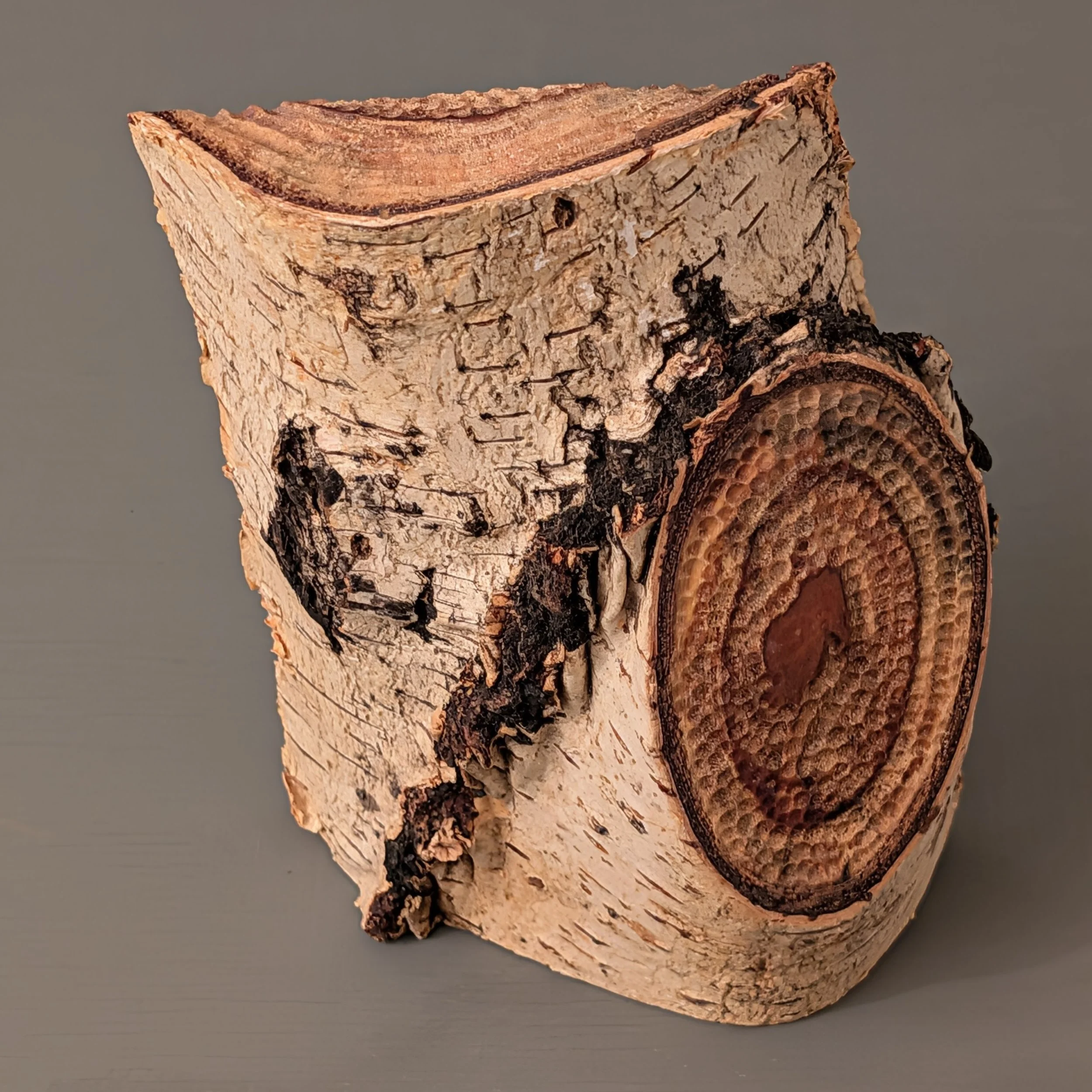 Spalted Organic Flow 2.jpg