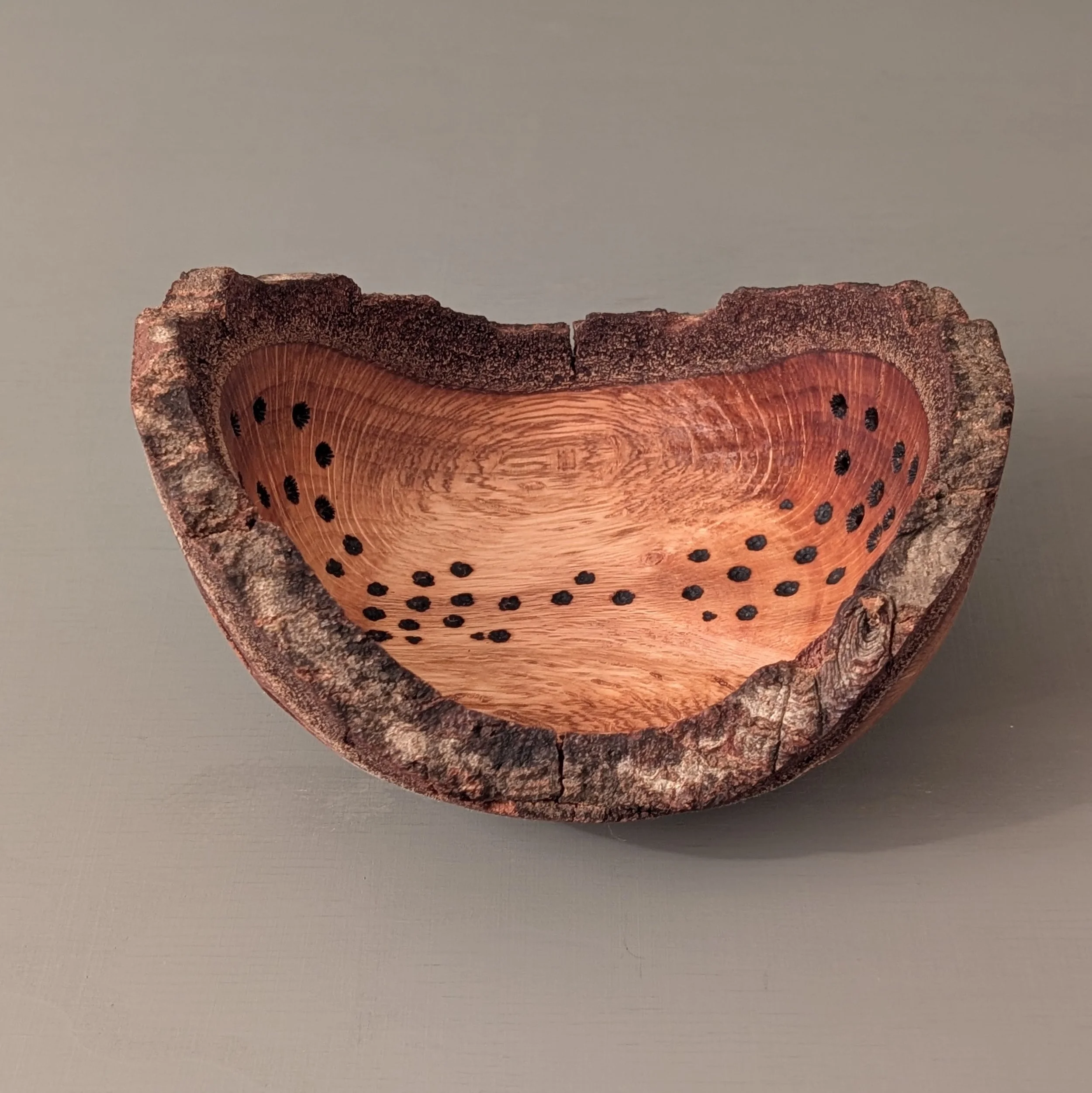 Live Edge Coral Oak 2.jpg