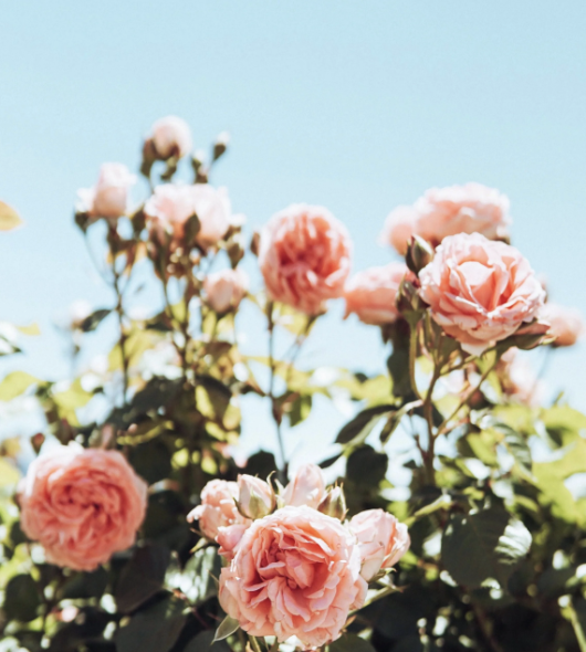 Understanding Self-Esteem: How It Shapes Our Mental Health and Strengthen It&nbsp;