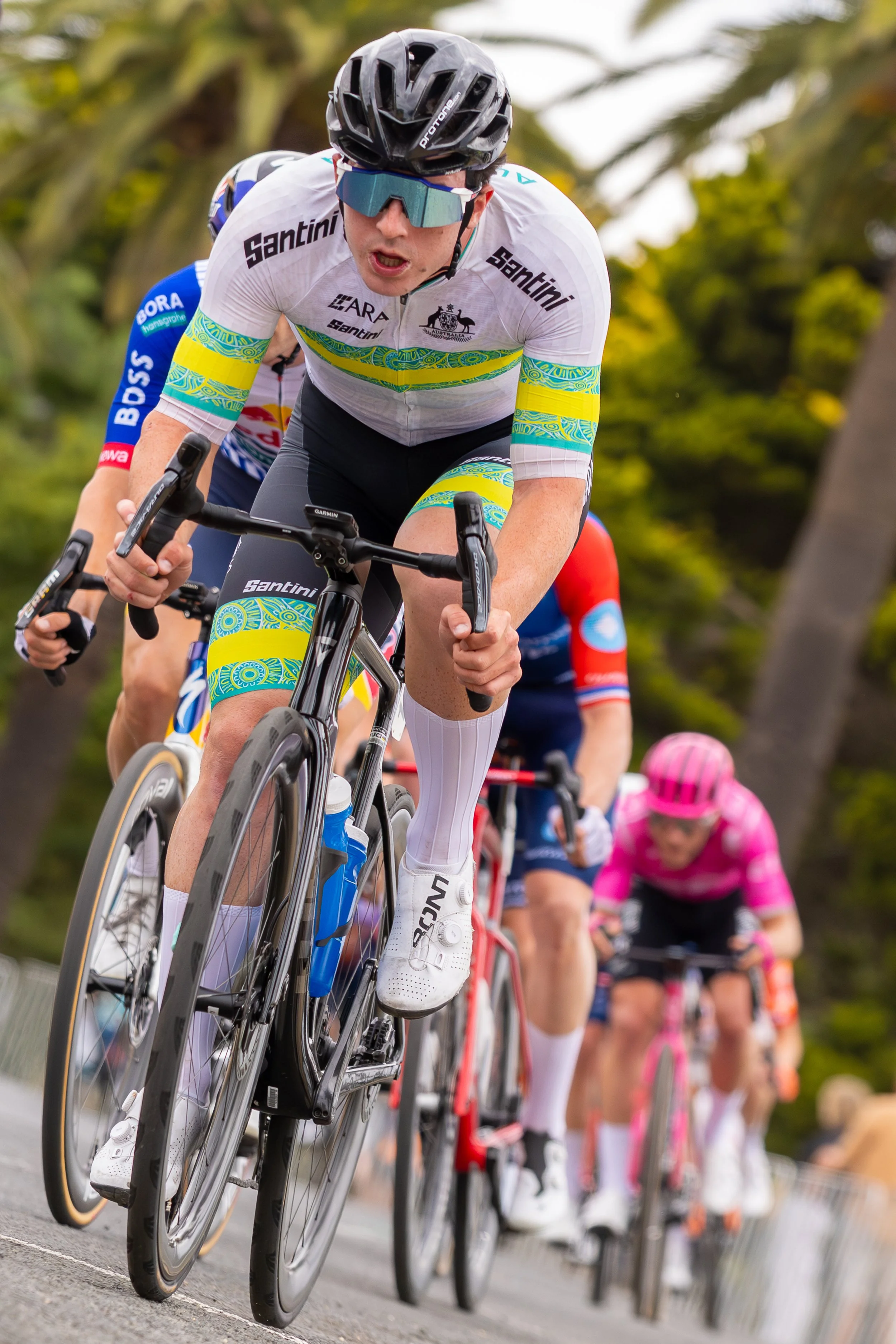 2026 Mapei Cadel Evans Great Ocean Road Race