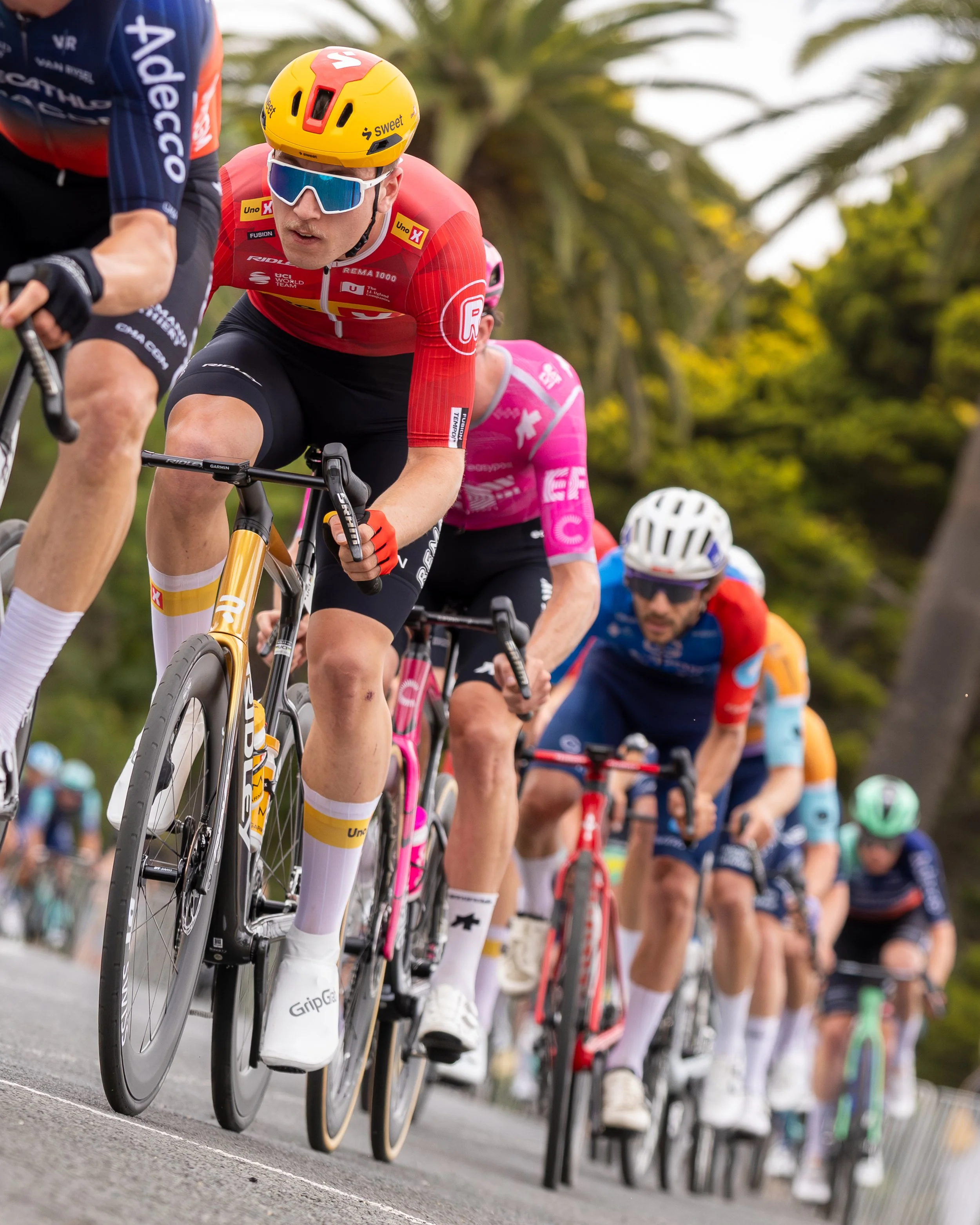 2026 Mapei Cadel Evans Great Ocean Road Race