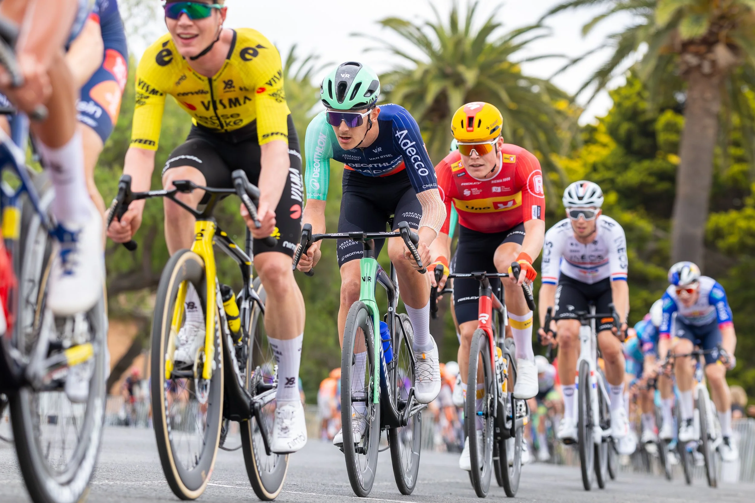 2026 Mapei Cadel Evans Great Ocean Road Race