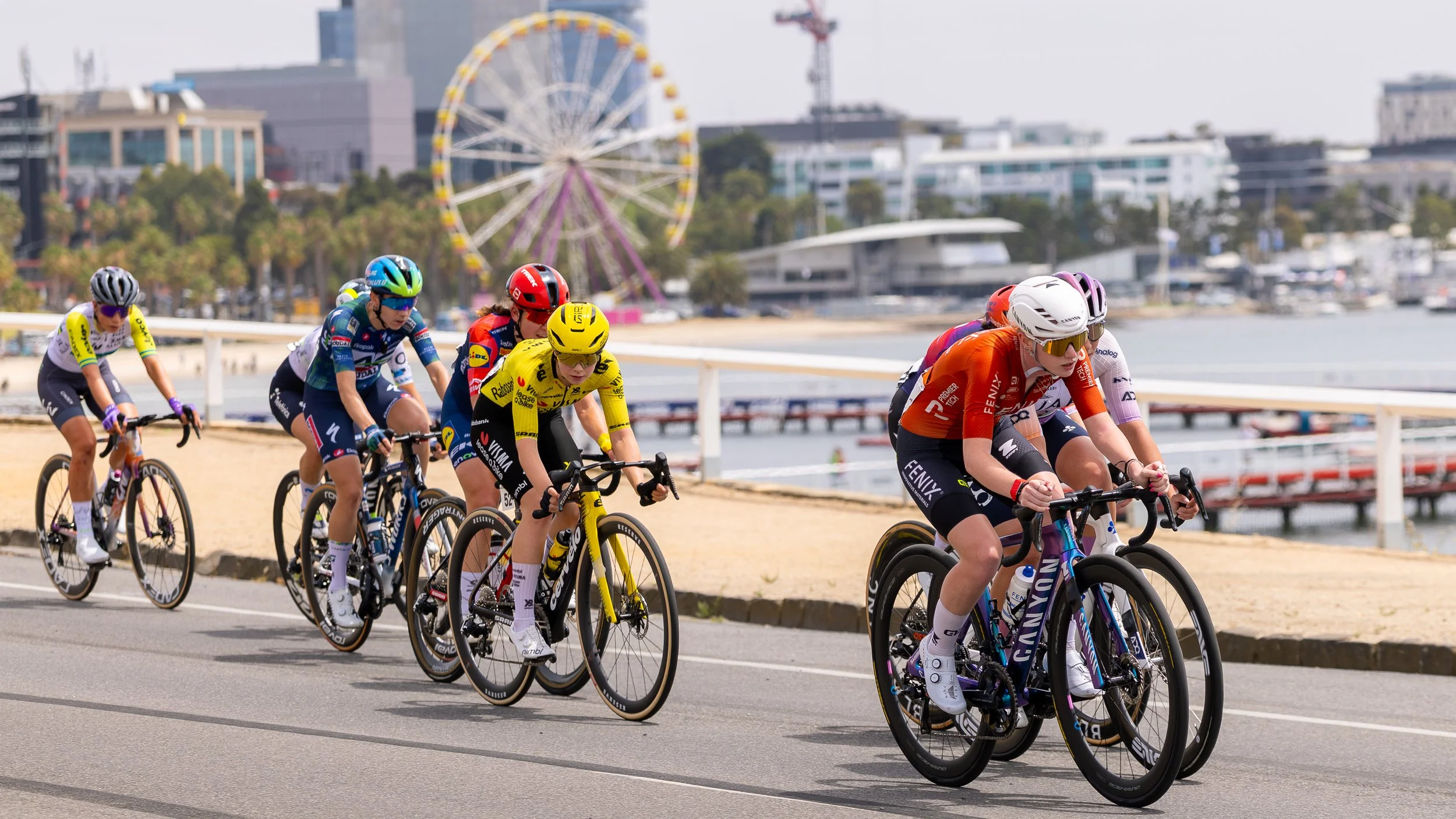 2026 Mapei Cadel Evans Great Ocean Road Race