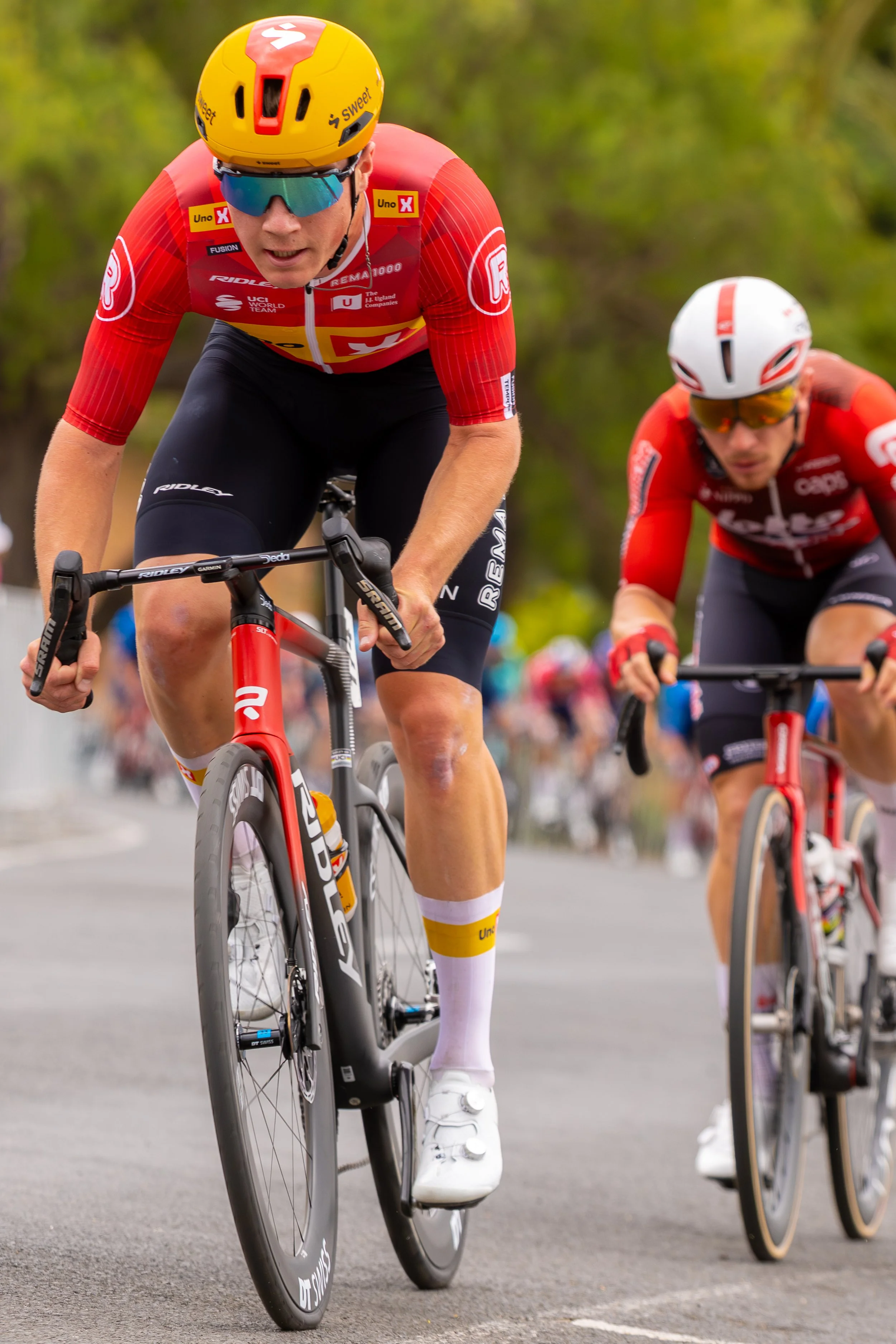 2026 Mapei Cadel Evans Great Ocean Road Race