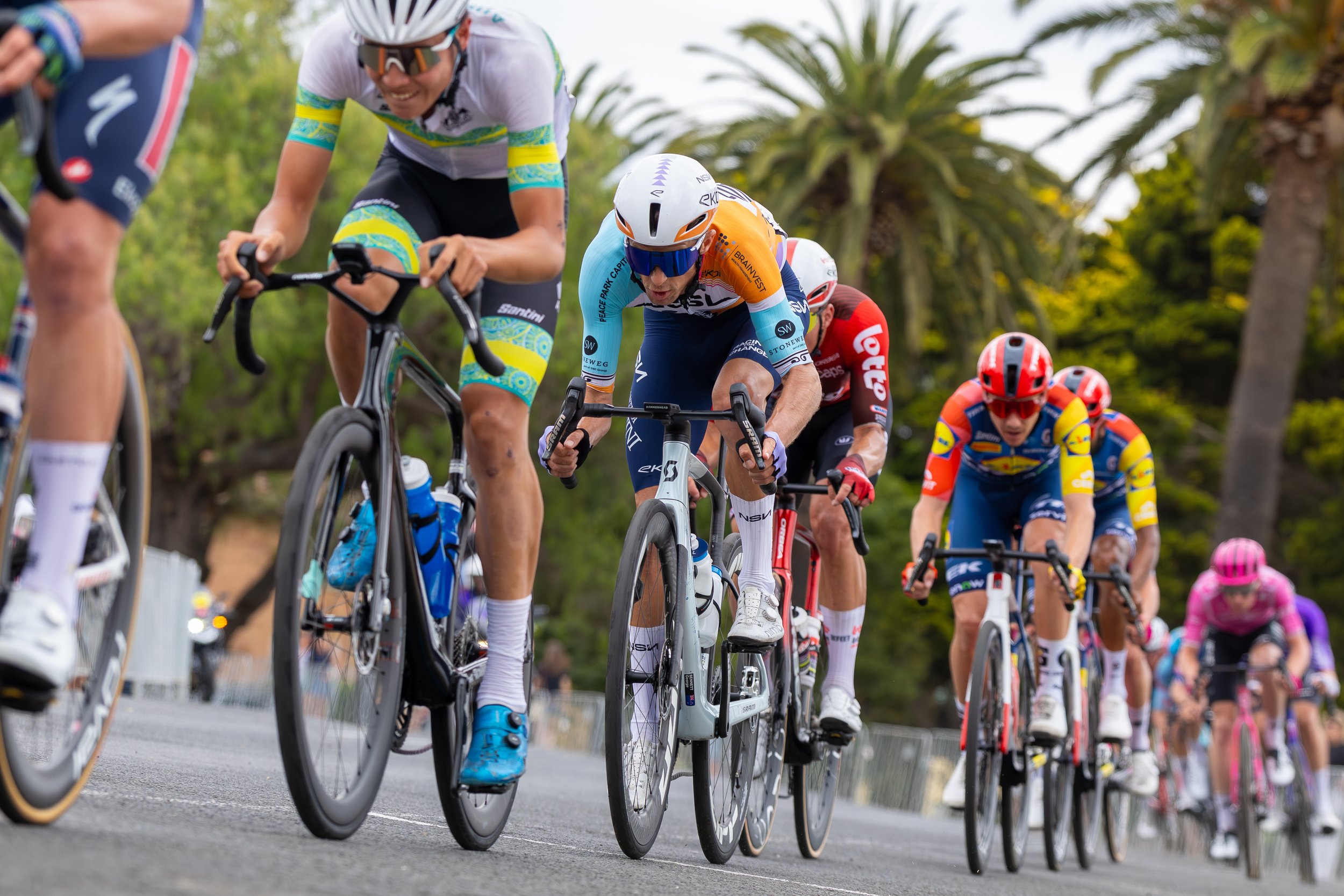 2026 Mapei Cadel Evans Great Ocean Road Race