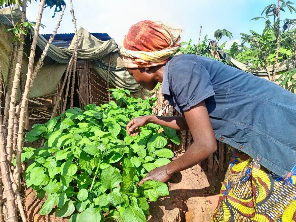 Training put into action - creating sustainability!