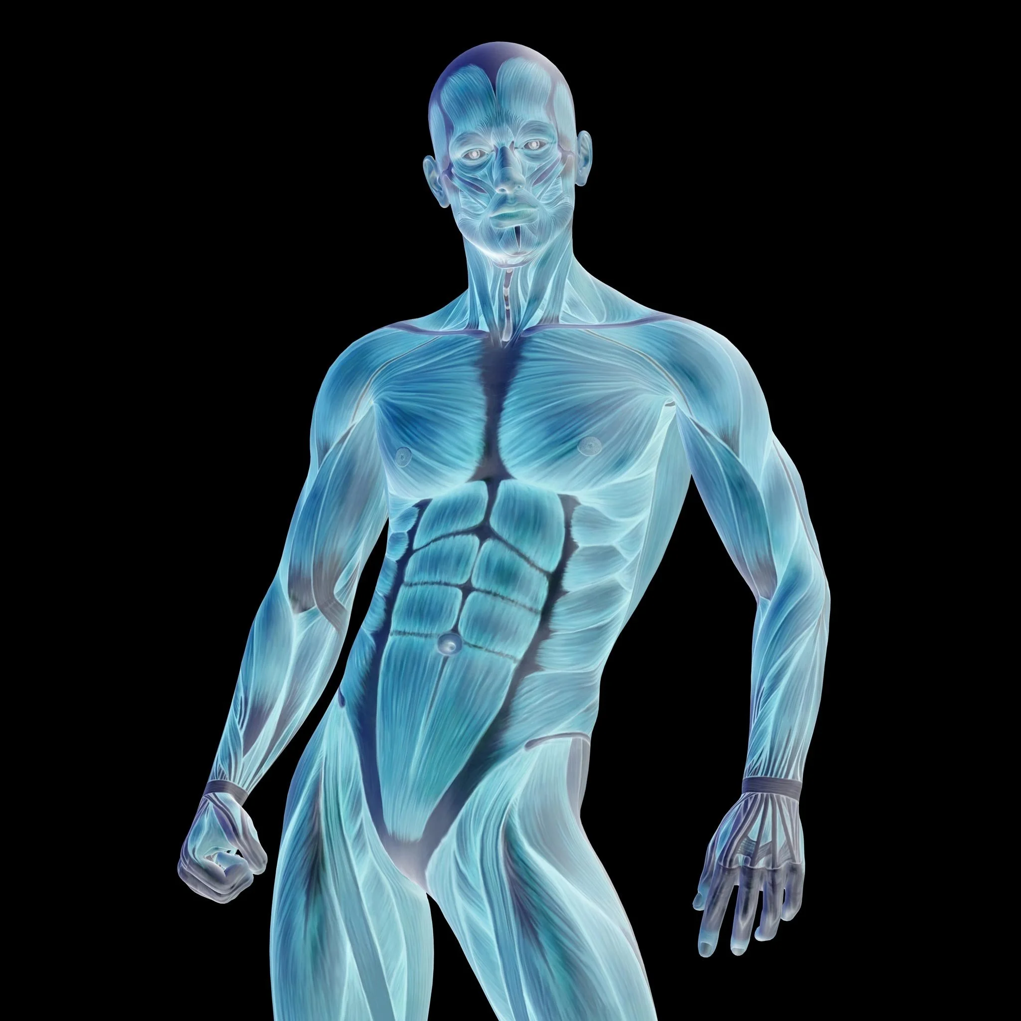 How Much Anatomy Does a Pilates Instructor Need?