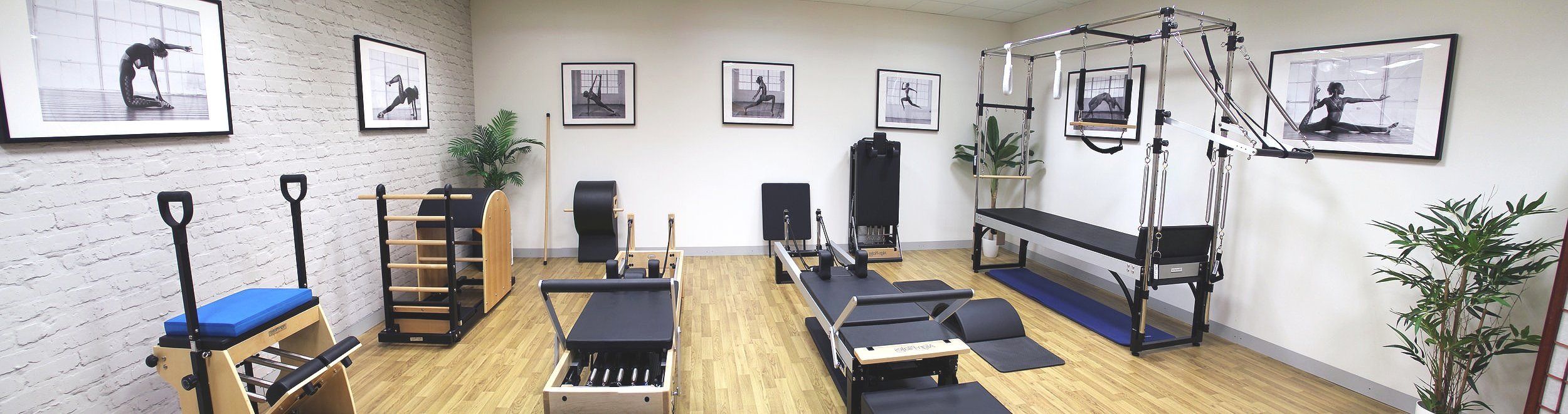 Pilates reformer reviews for studio start up, Pilates reformer price,  performance and for sale — Pilates Consultant