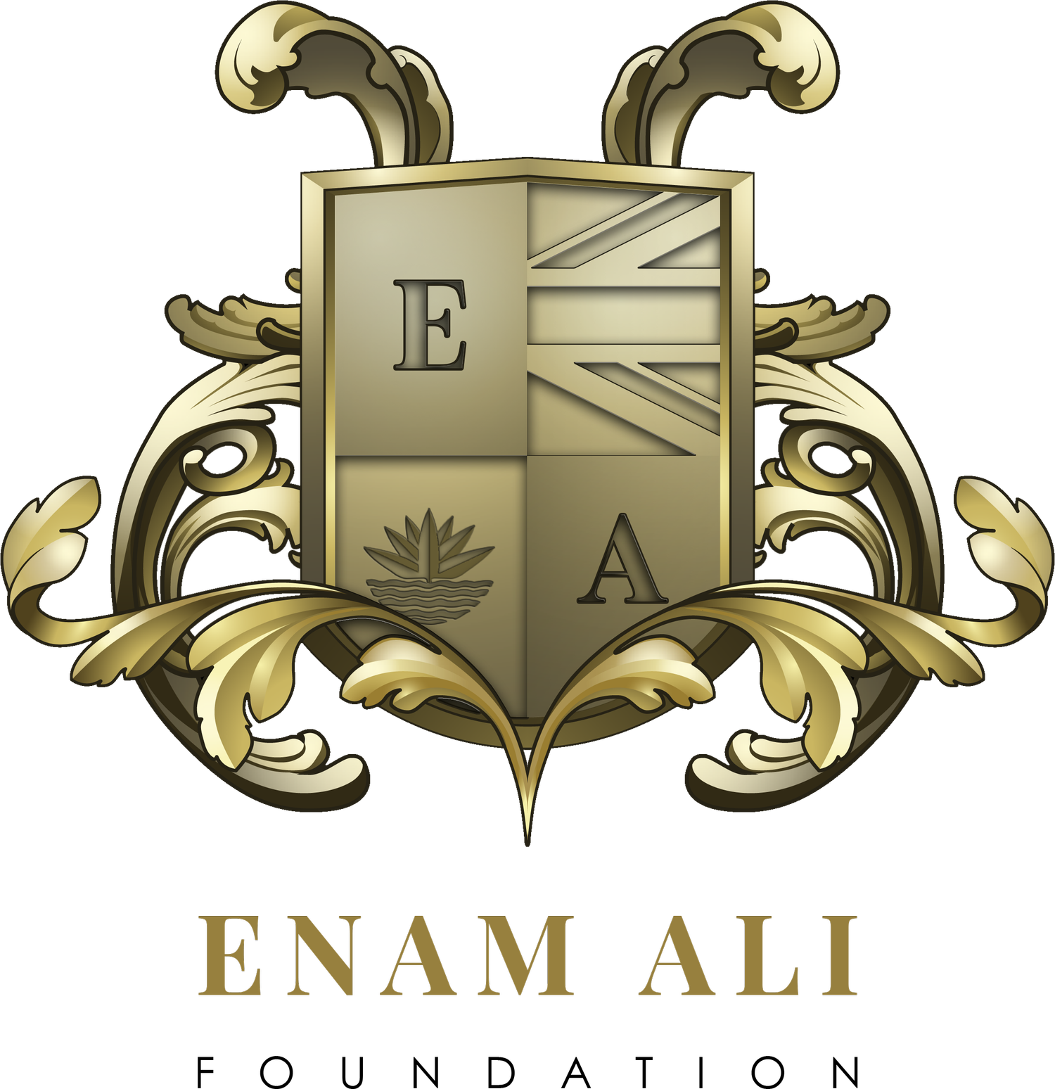 ENAM ALI FOUNDATION