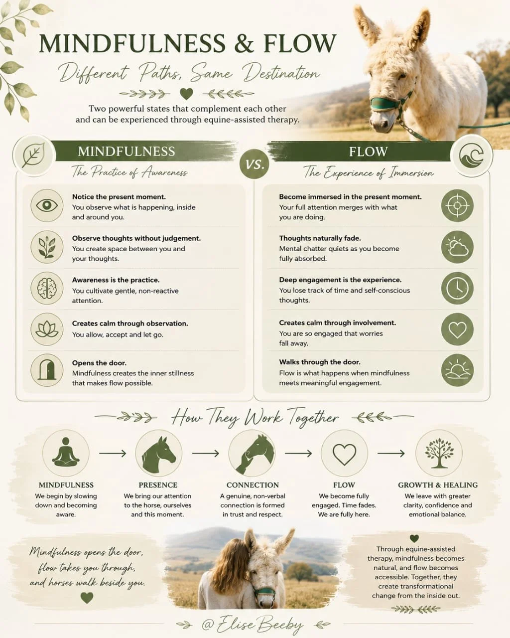 Mindfulness &amp; Flow