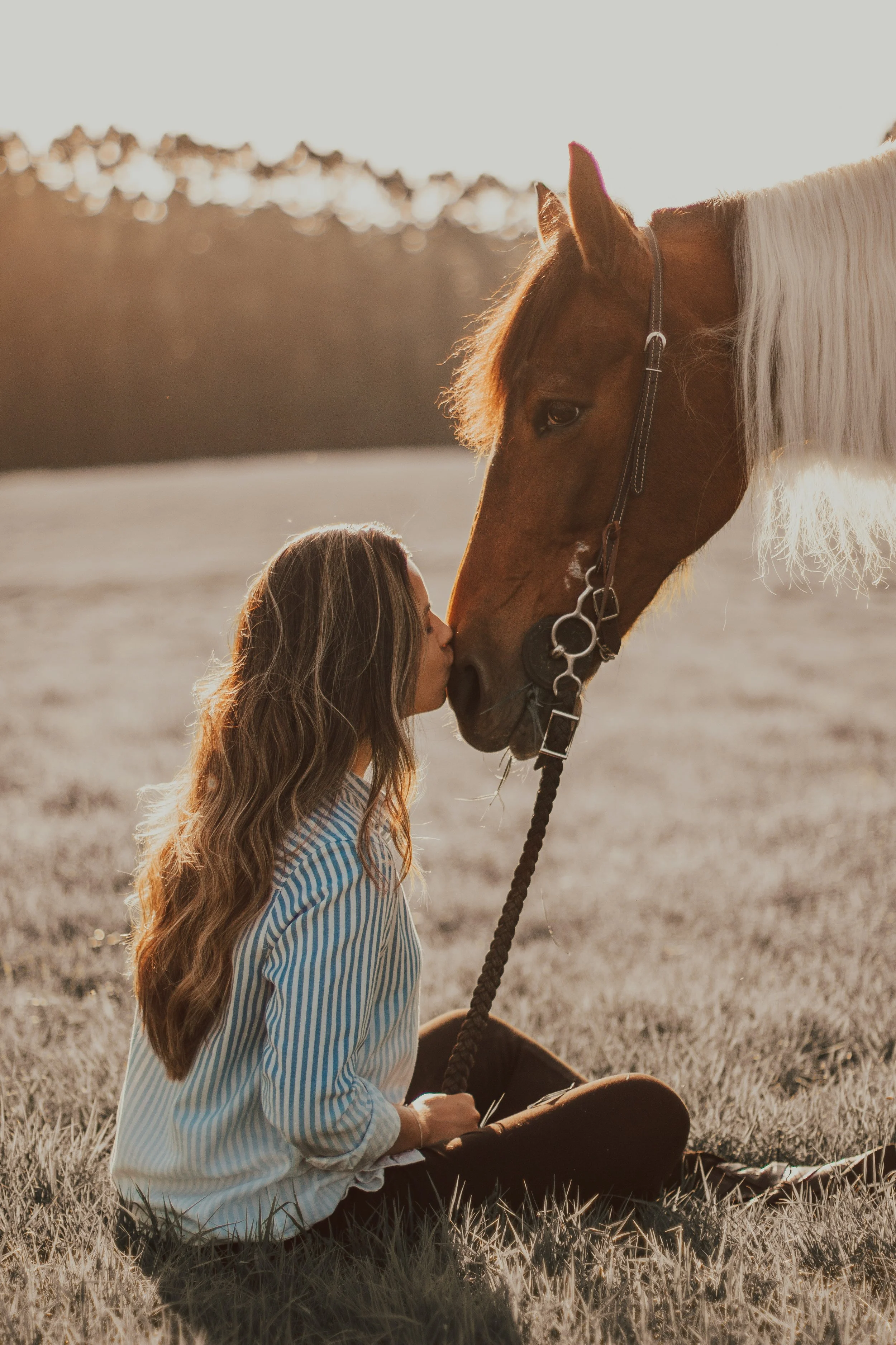 How horses can soothe the soul and help your mental health