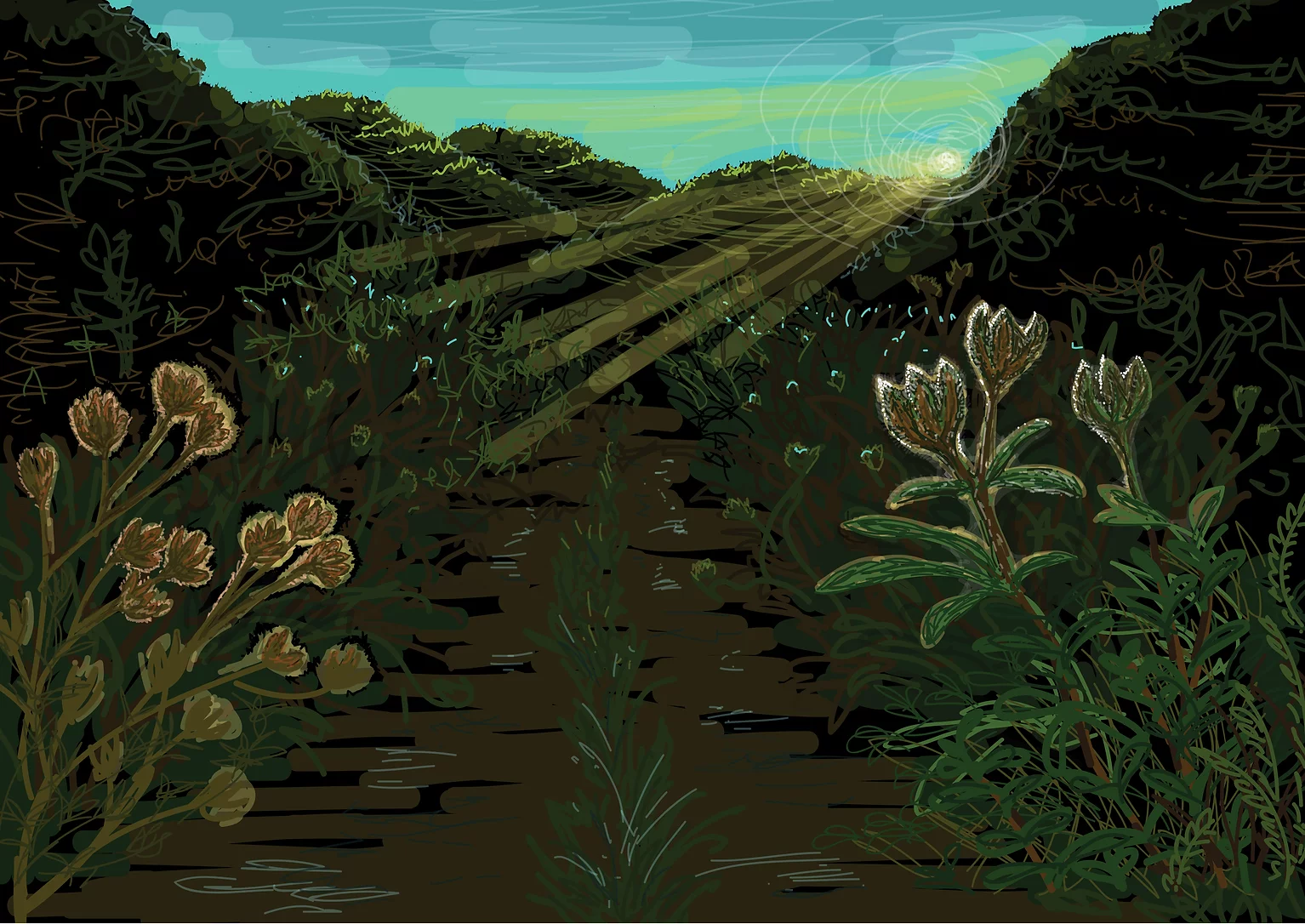 spanish landscape.png