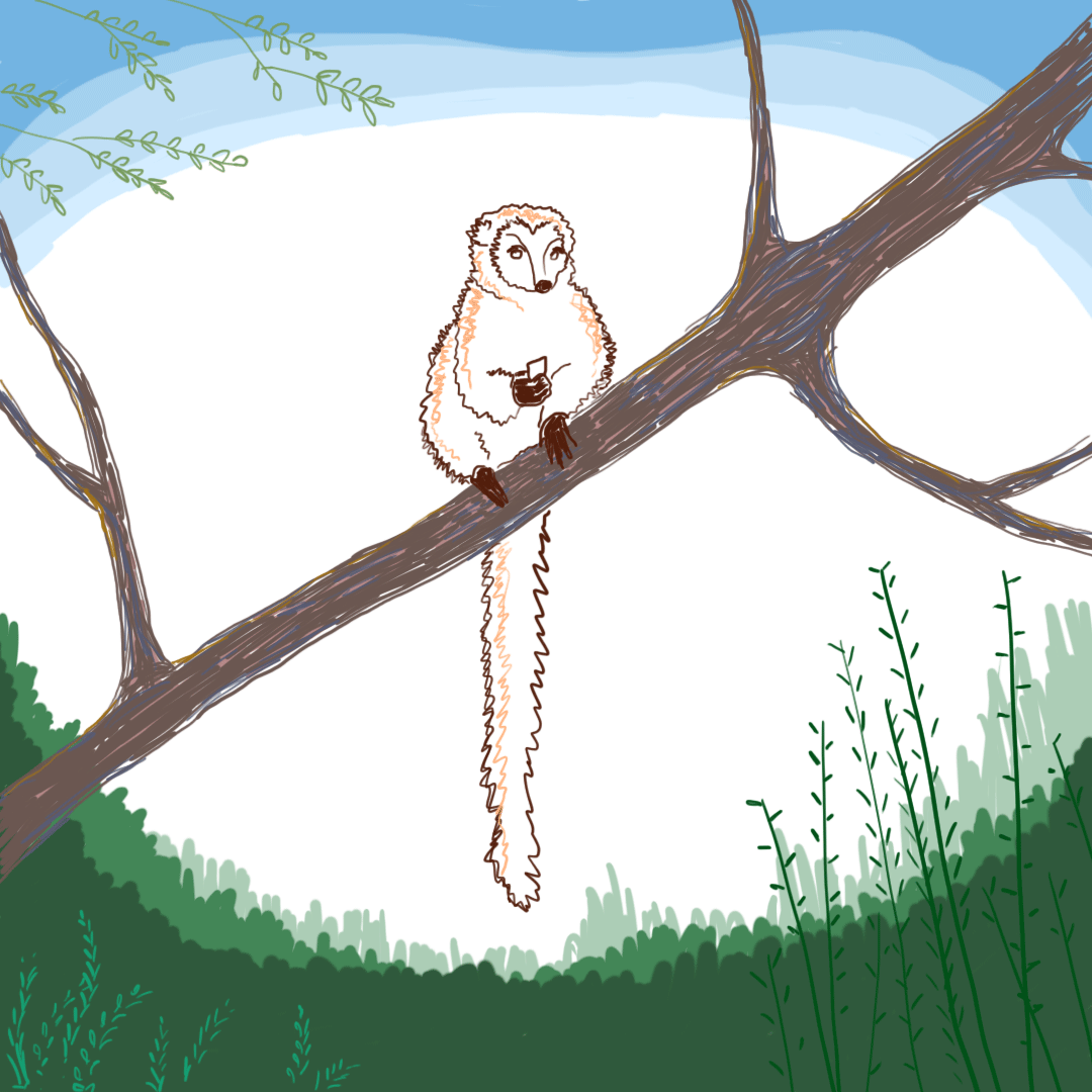 lemur.gif