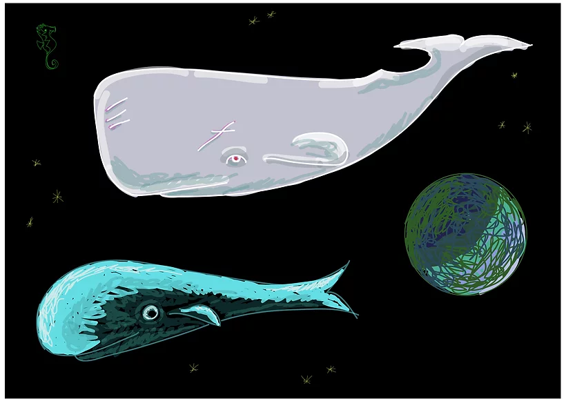 whale n space.png