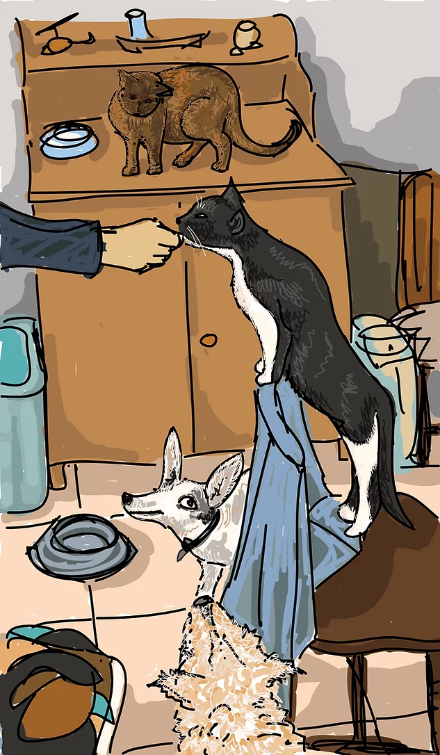 animal kitchen.png