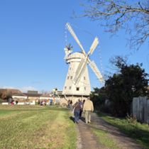 Windmill & Gardens Public Open Day