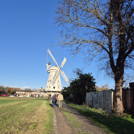 Windmill & Gardens Public Open Day
