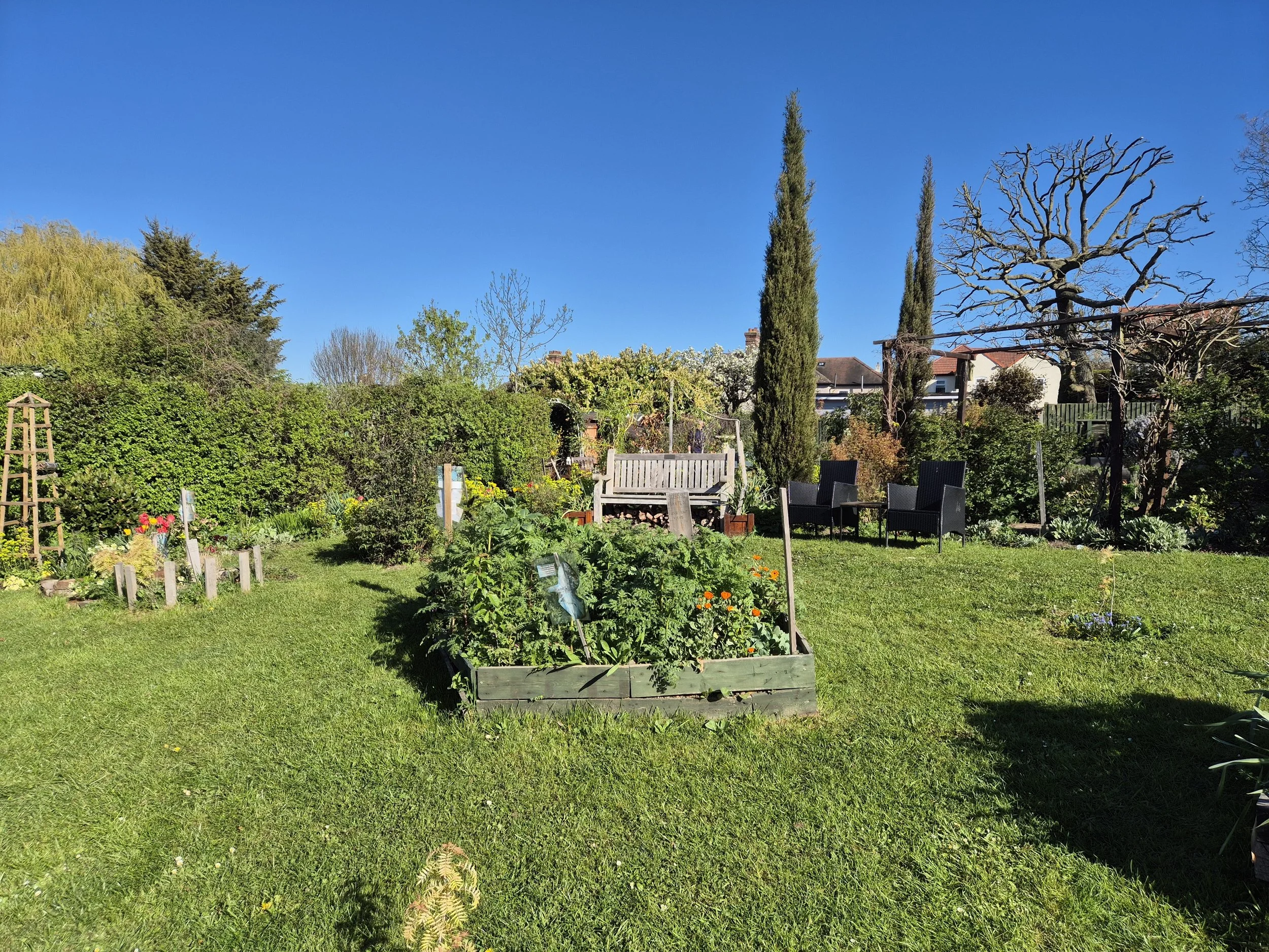 Our Garden is blooming ………….. lovely!!