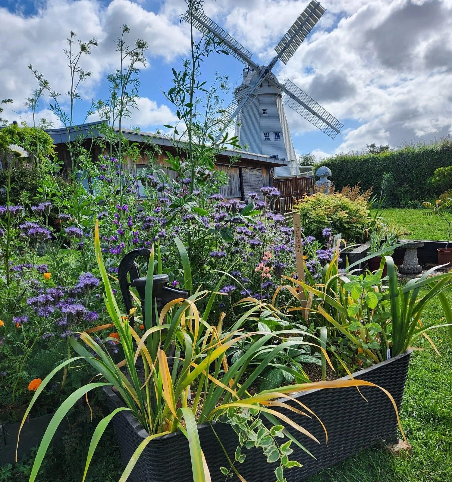 Our Garden is blooming ………….. lovely!!