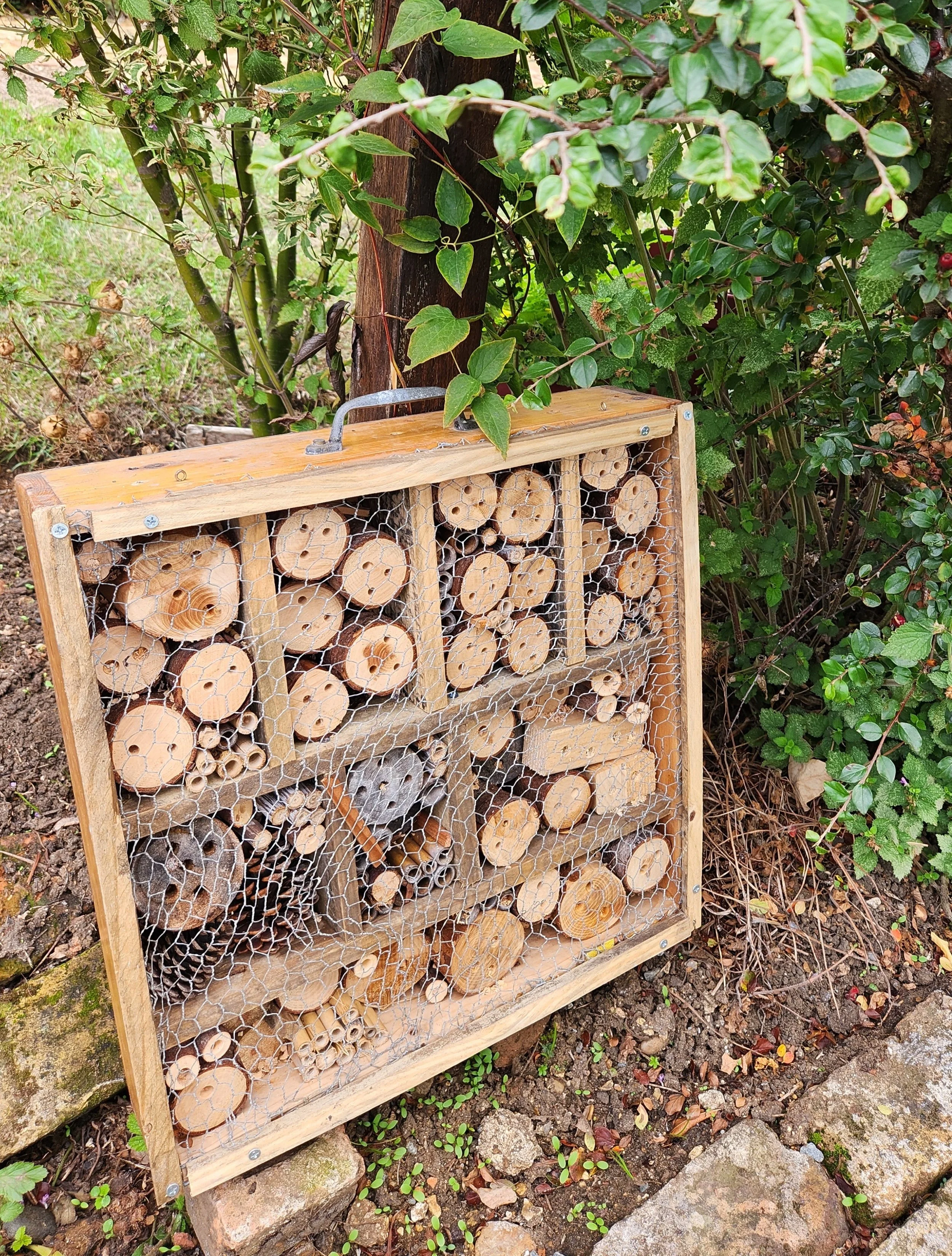 Drawer bug hotel.jpg
