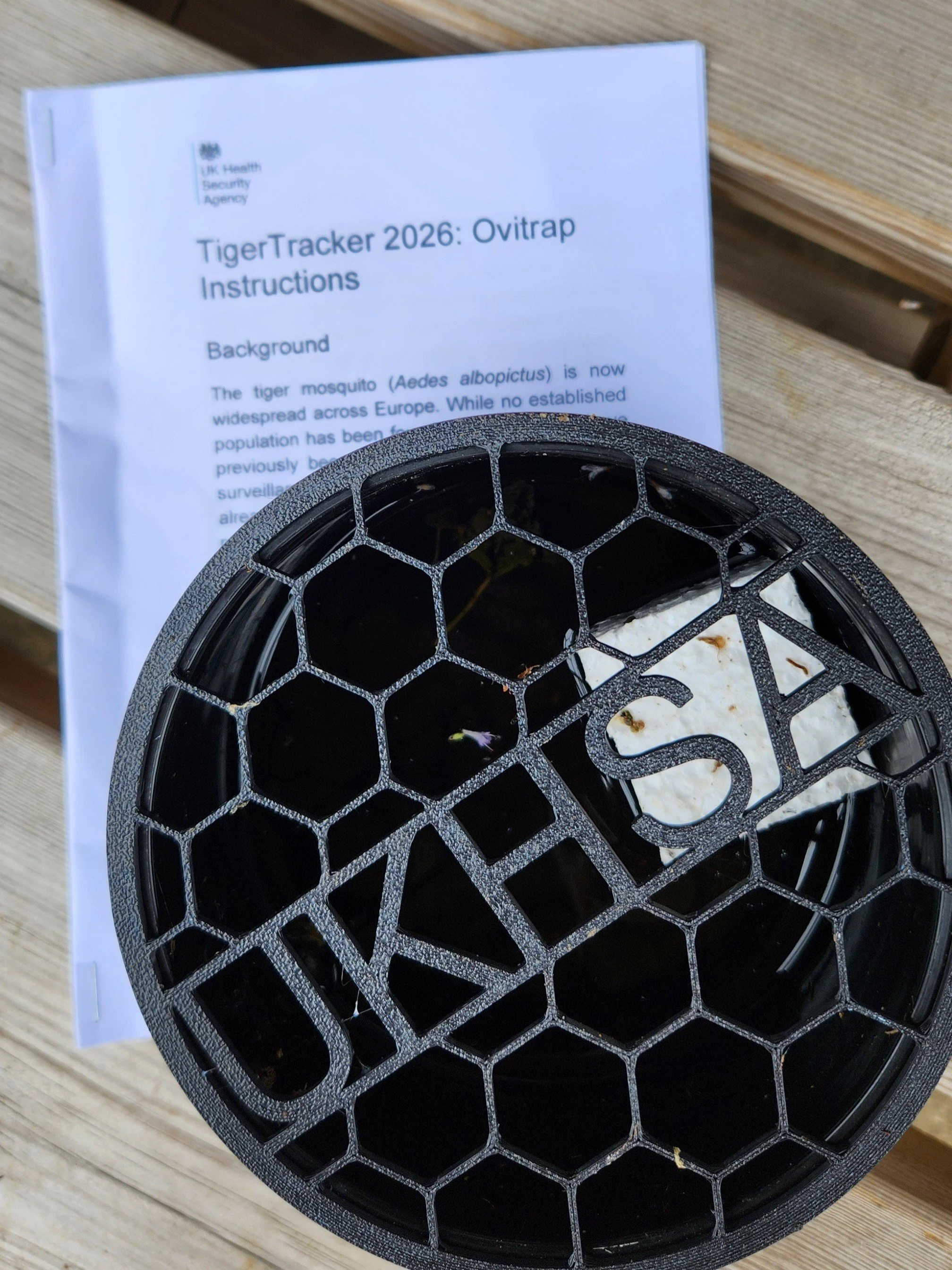 Tiger Mosquito Trap.jpg