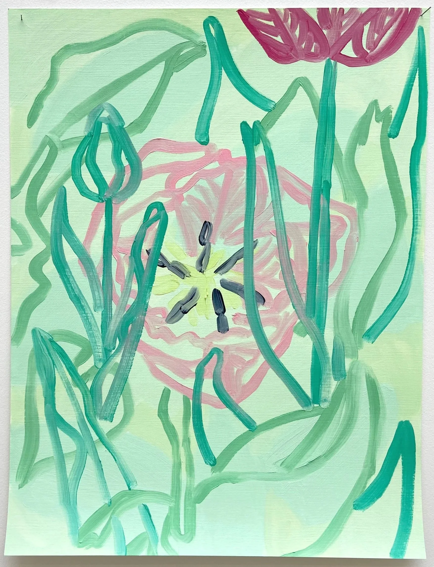 Tulips,
2022,
oil on paper,
50 x 70cm 
